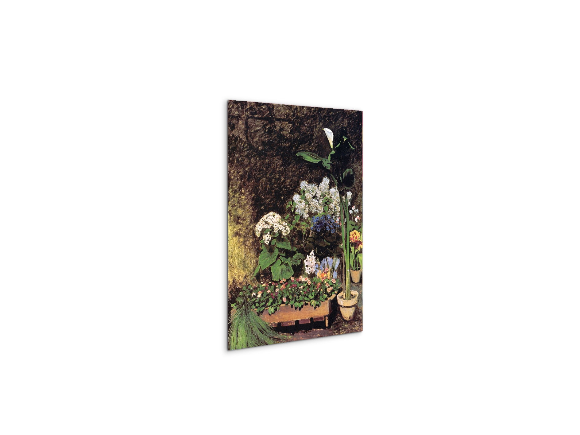 spring-flowersas92801-