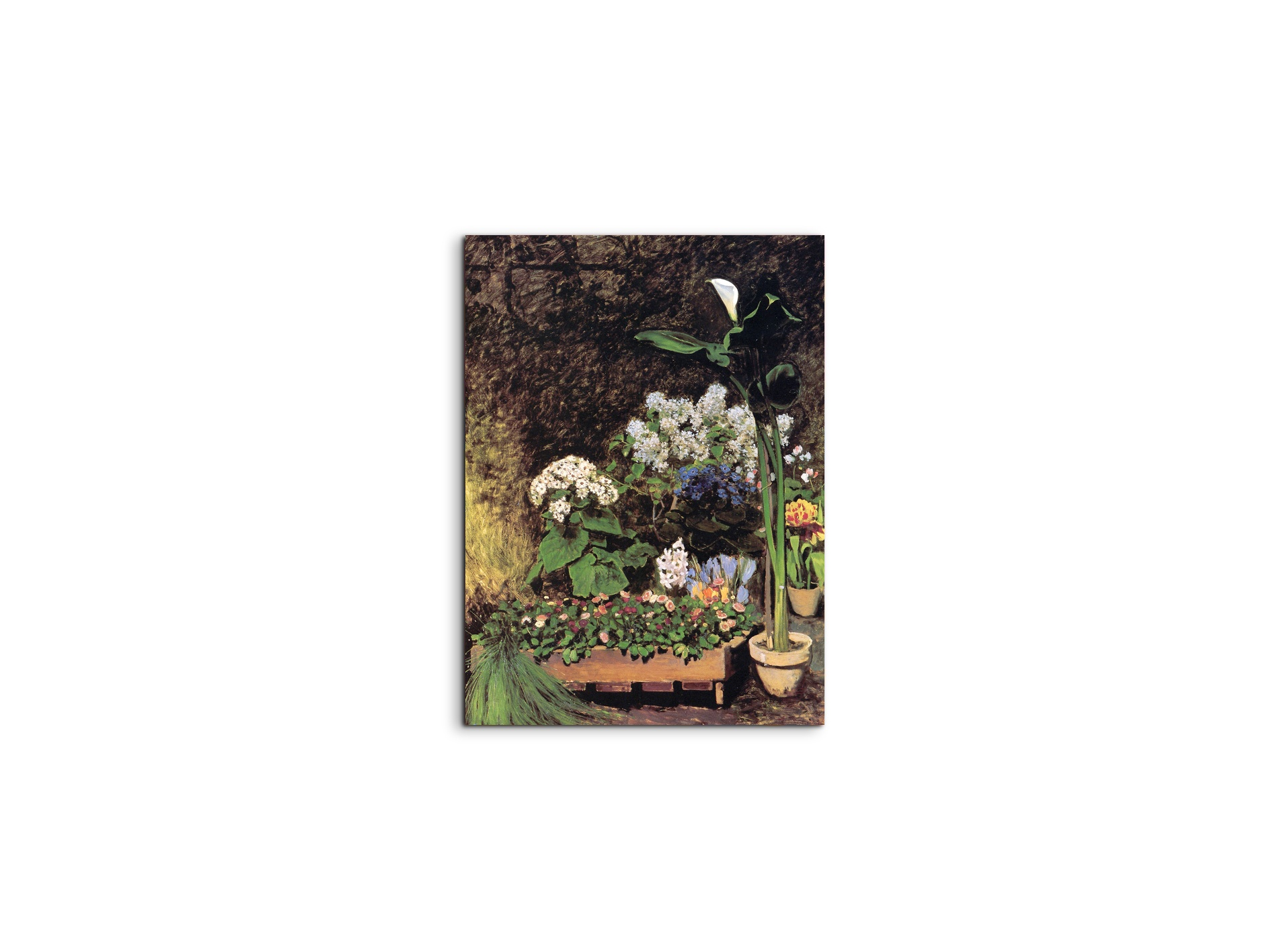 spring-flowersas92801-