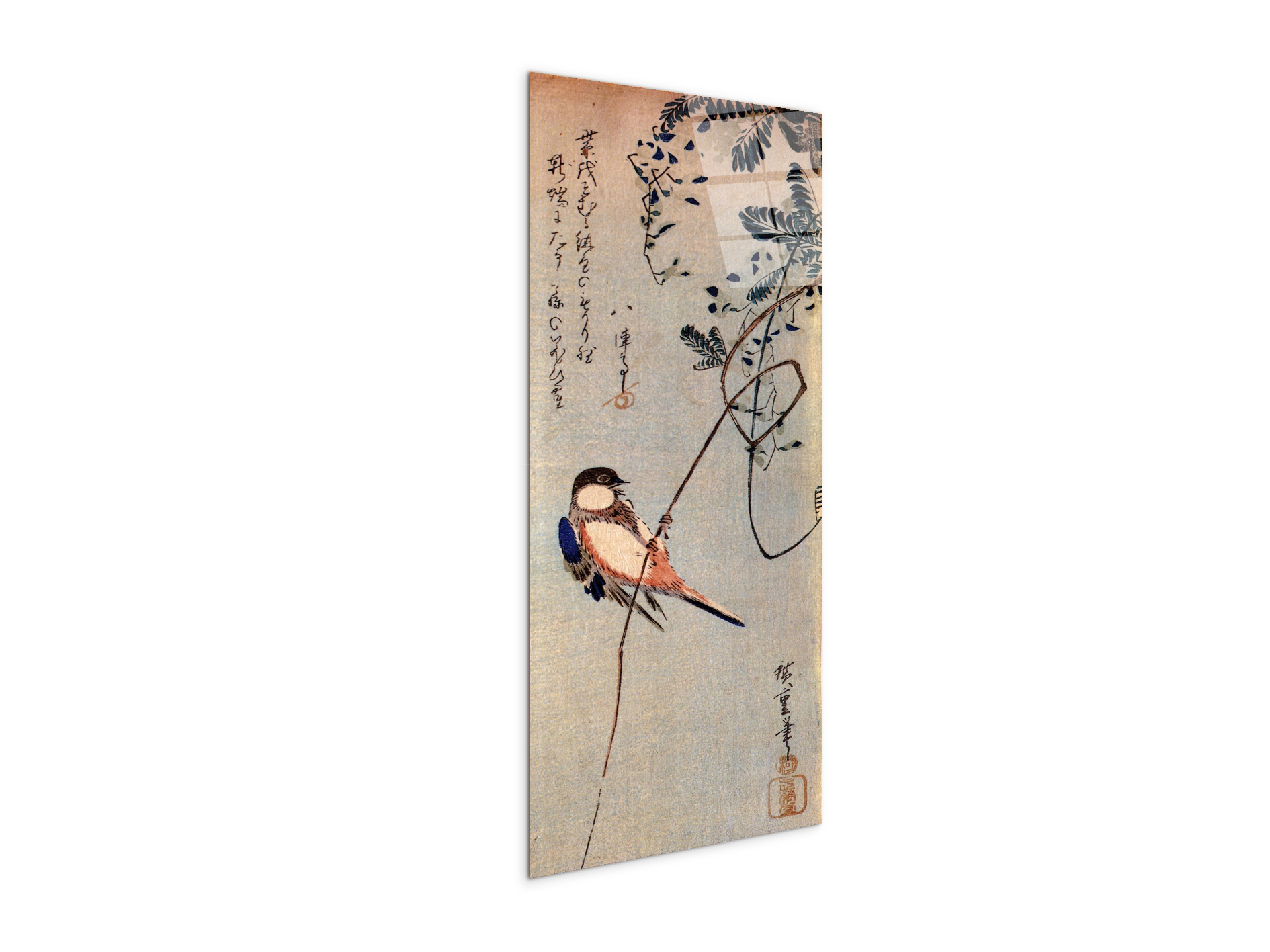 a-bird-on-a-wisteriaas92849-