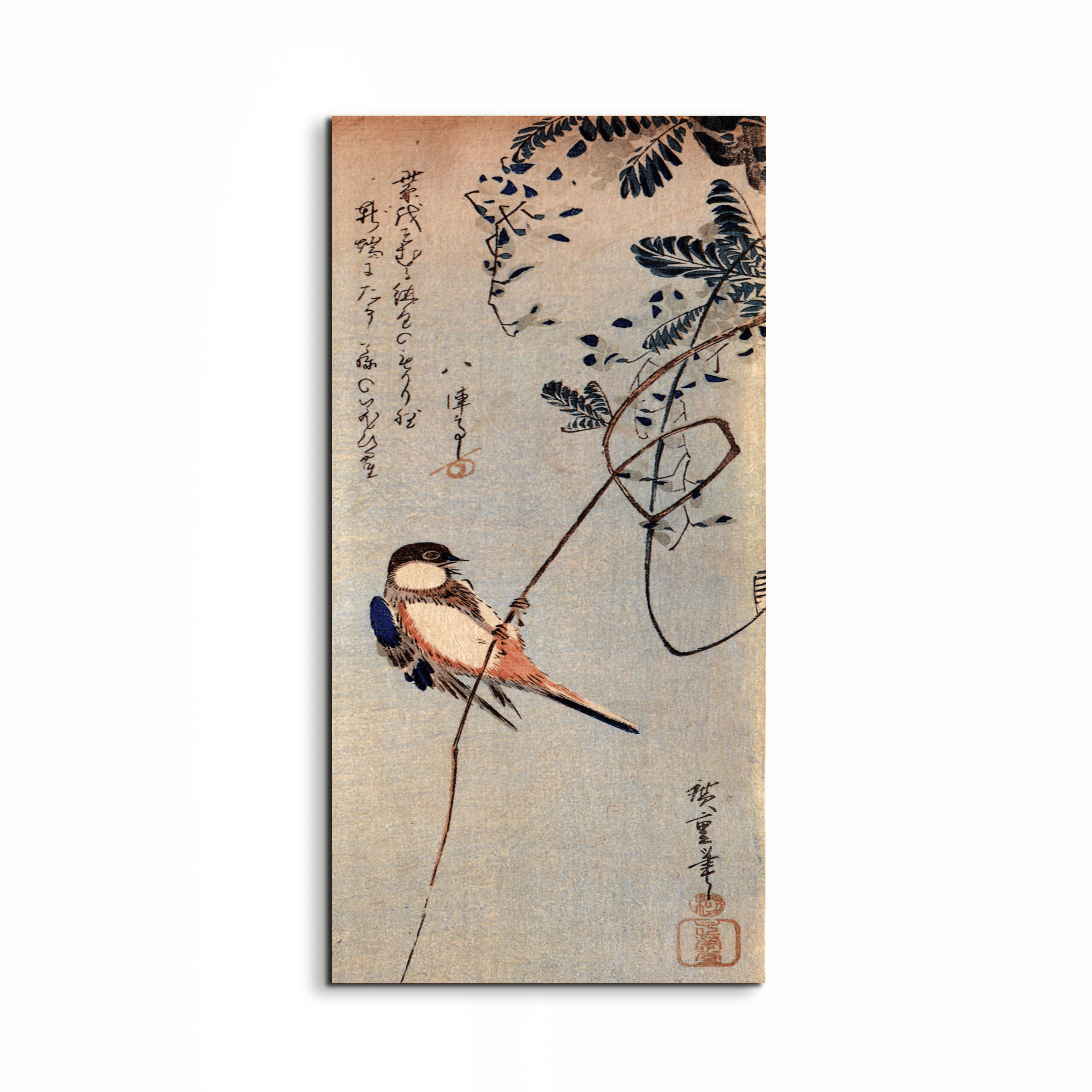 a-bird-on-a-wisteriaas92849-