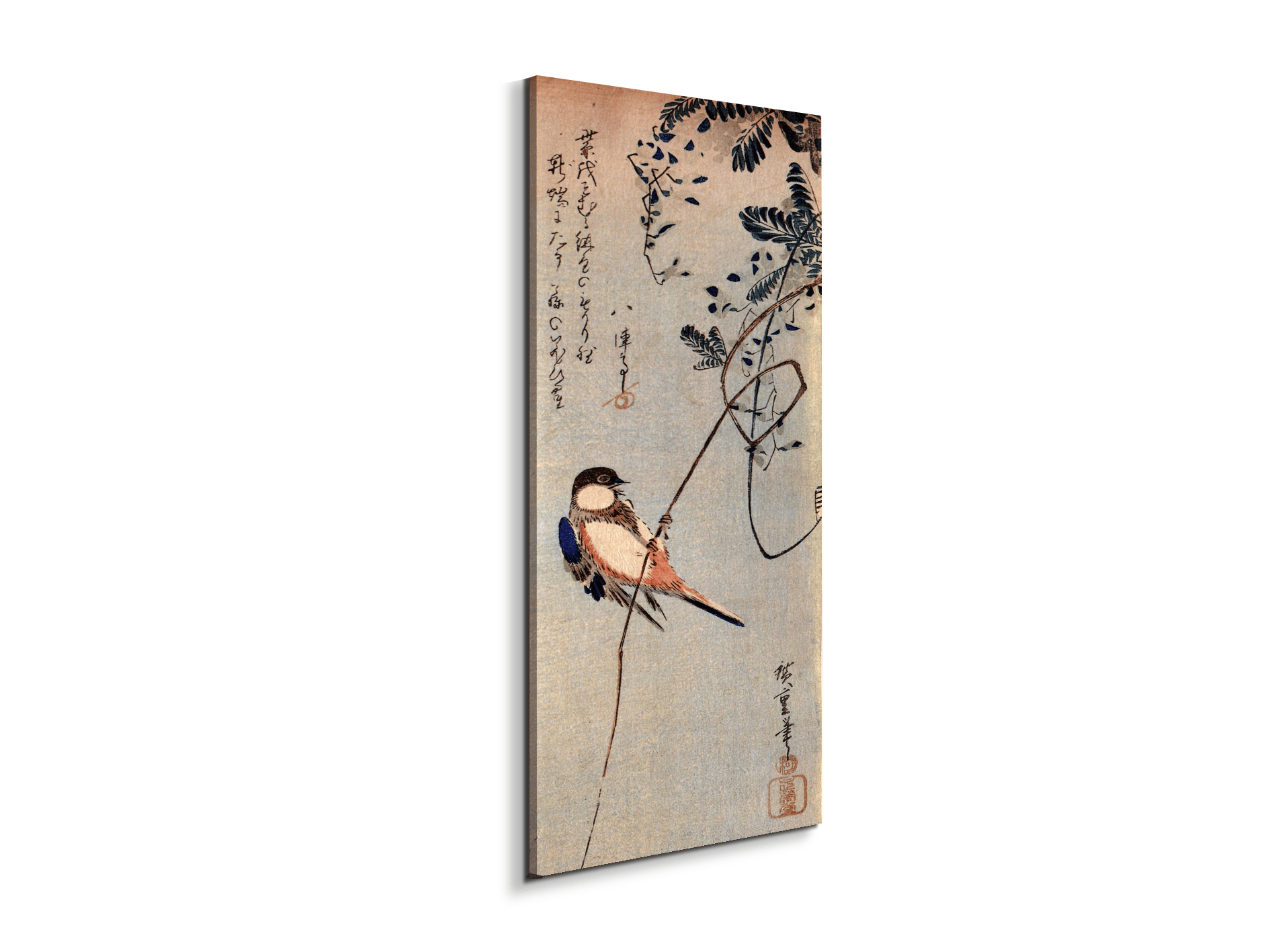 a-bird-on-a-wisteriaas92849-