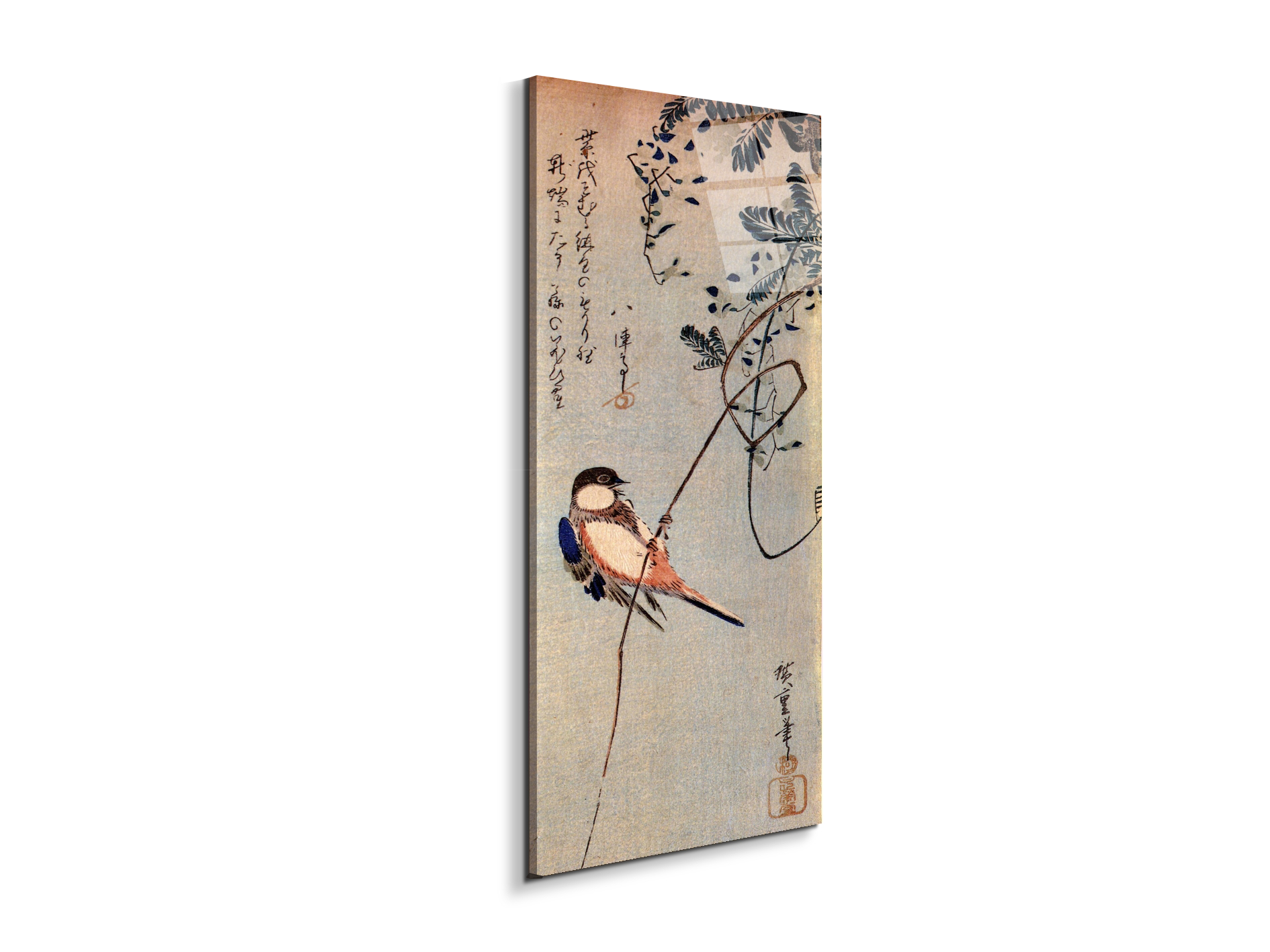 a-bird-on-a-wisteriaas92849-