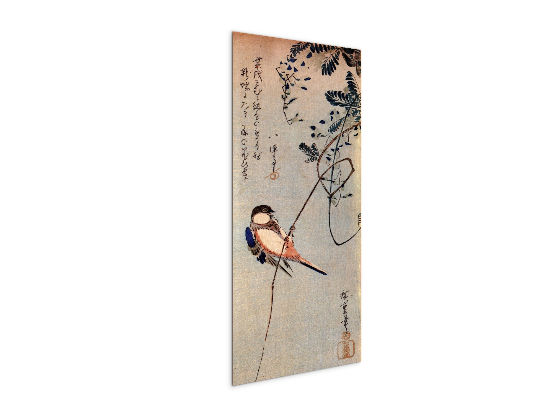 a-bird-on-a-wisteriaas92849-