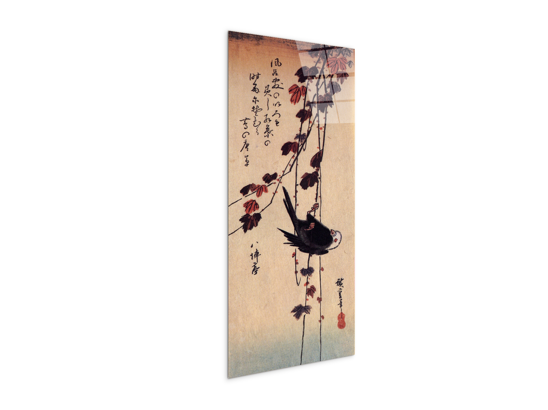 a-small-black-bird-hanging-on-ivyas92853-
