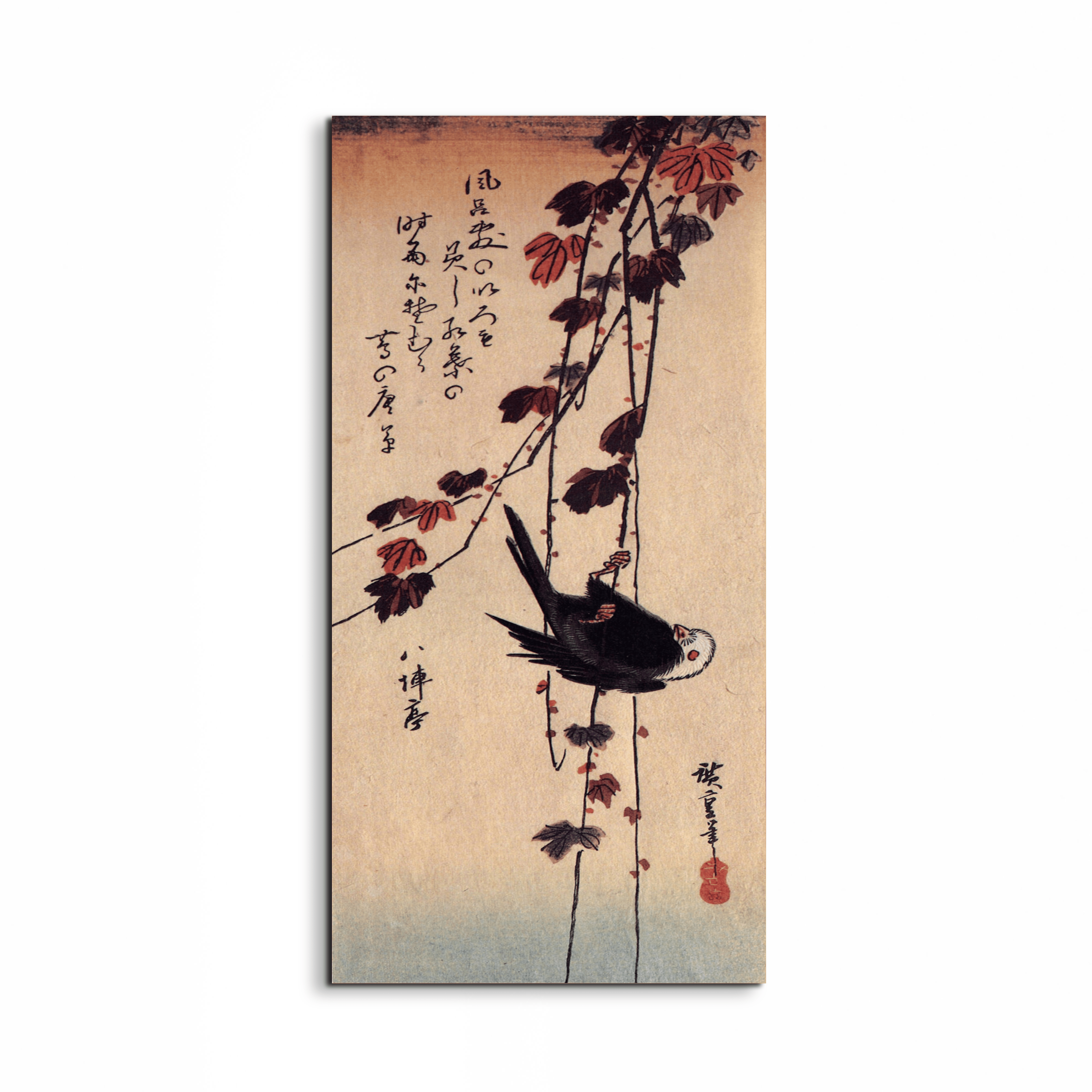 a-small-black-bird-hanging-on-ivyas92853-