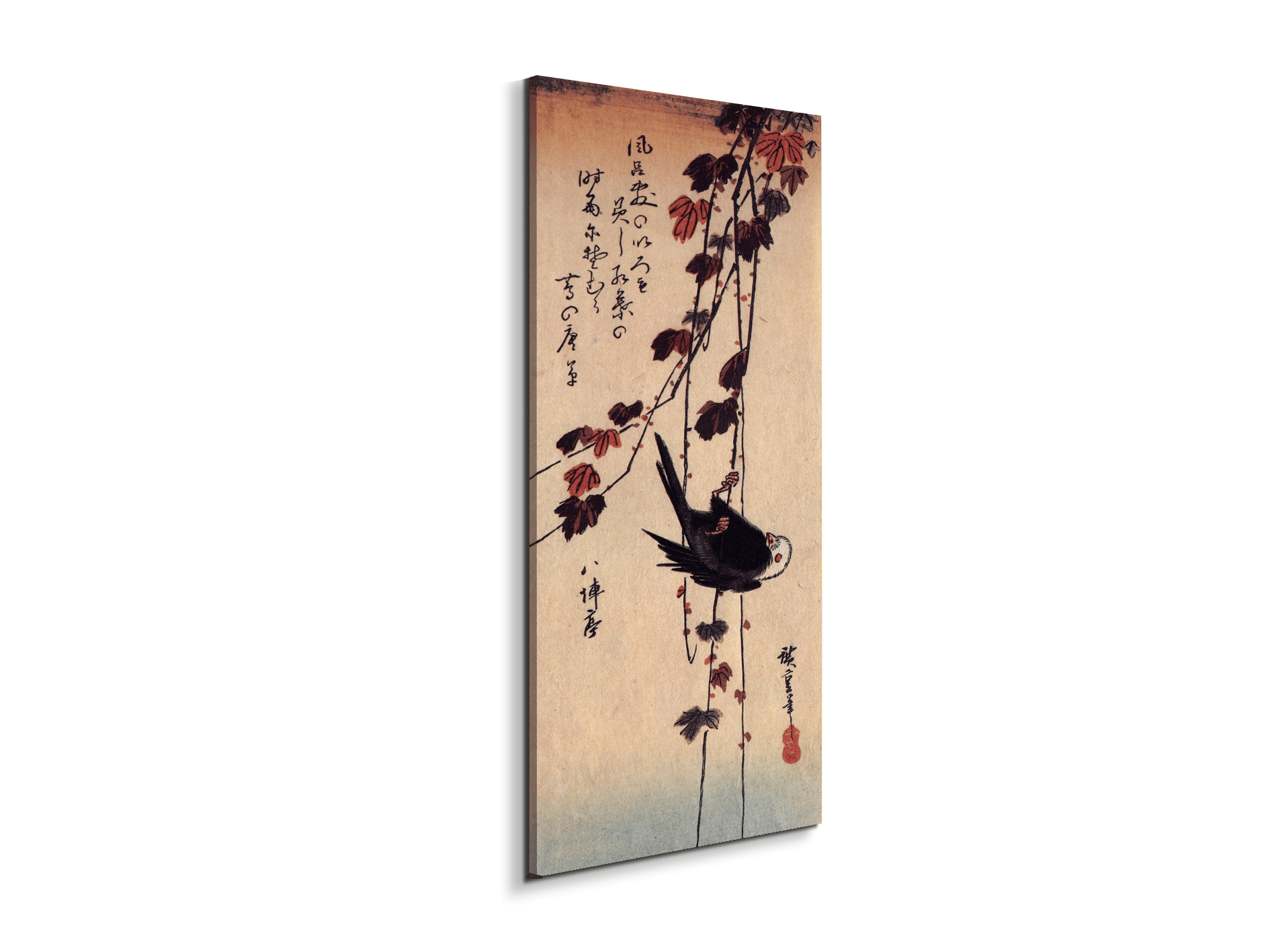 a-small-black-bird-hanging-on-ivyas92853-