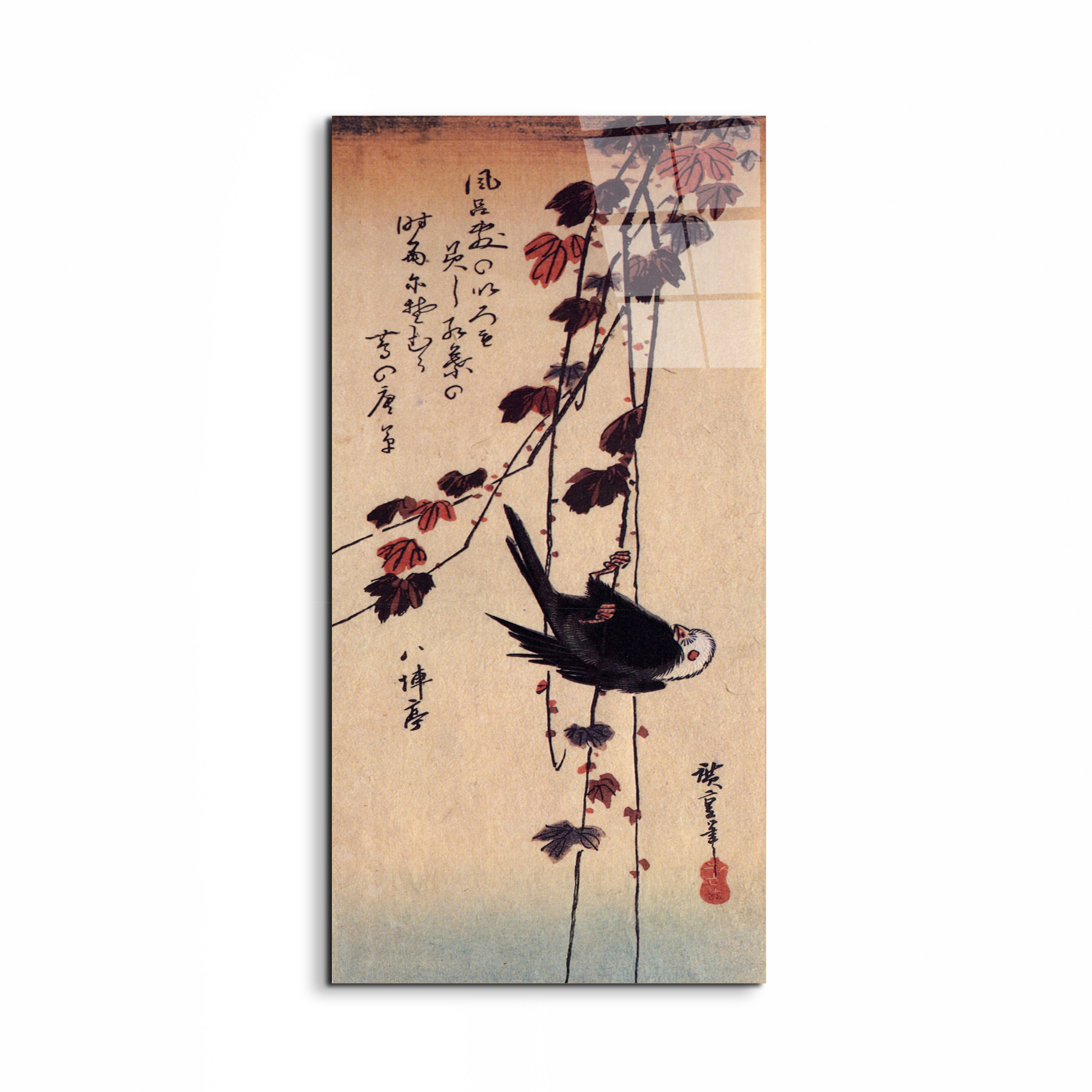 a-small-black-bird-hanging-on-ivyas92853-
