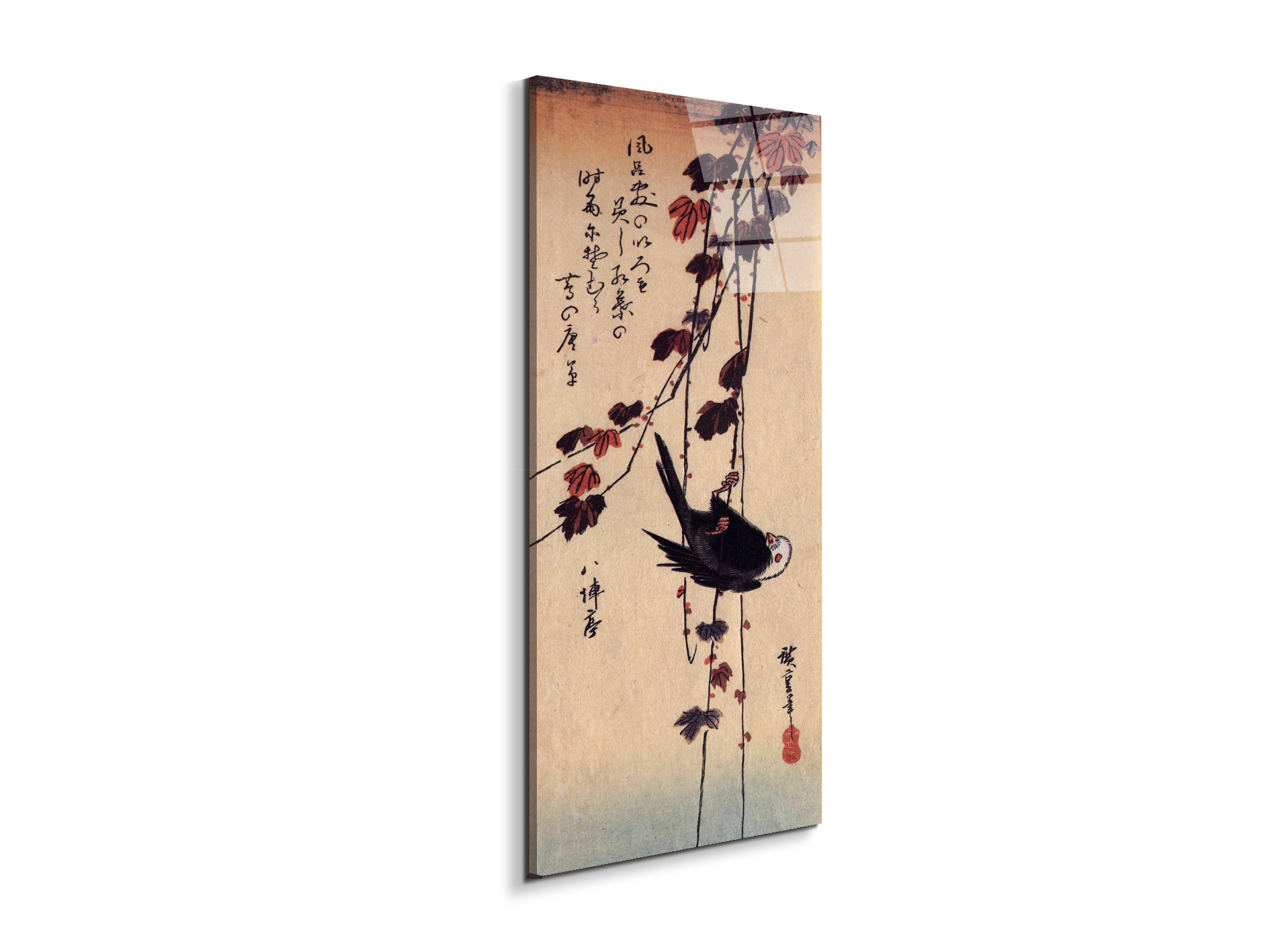 a-small-black-bird-hanging-on-ivyas92853-