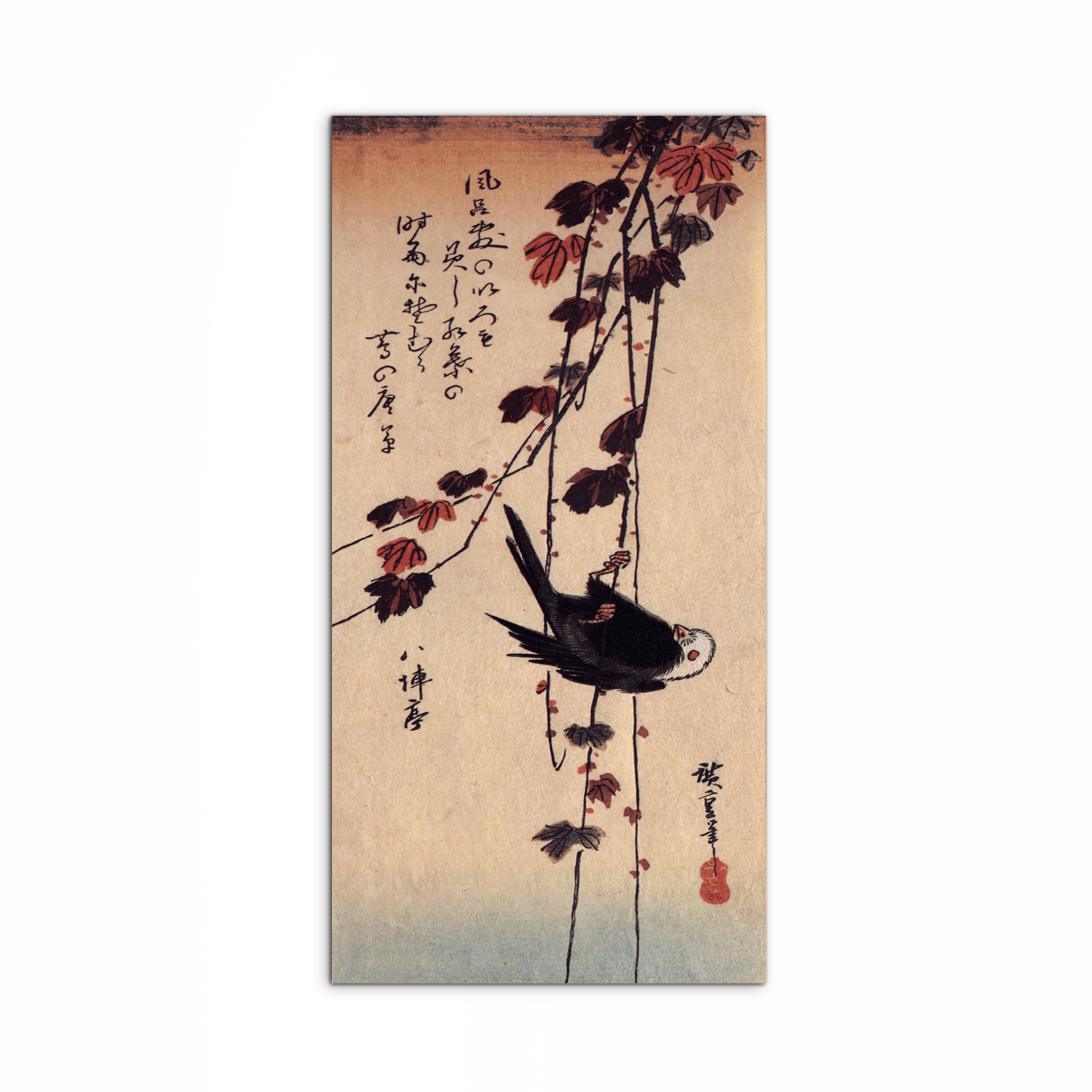a-small-black-bird-hanging-on-ivyas92853-