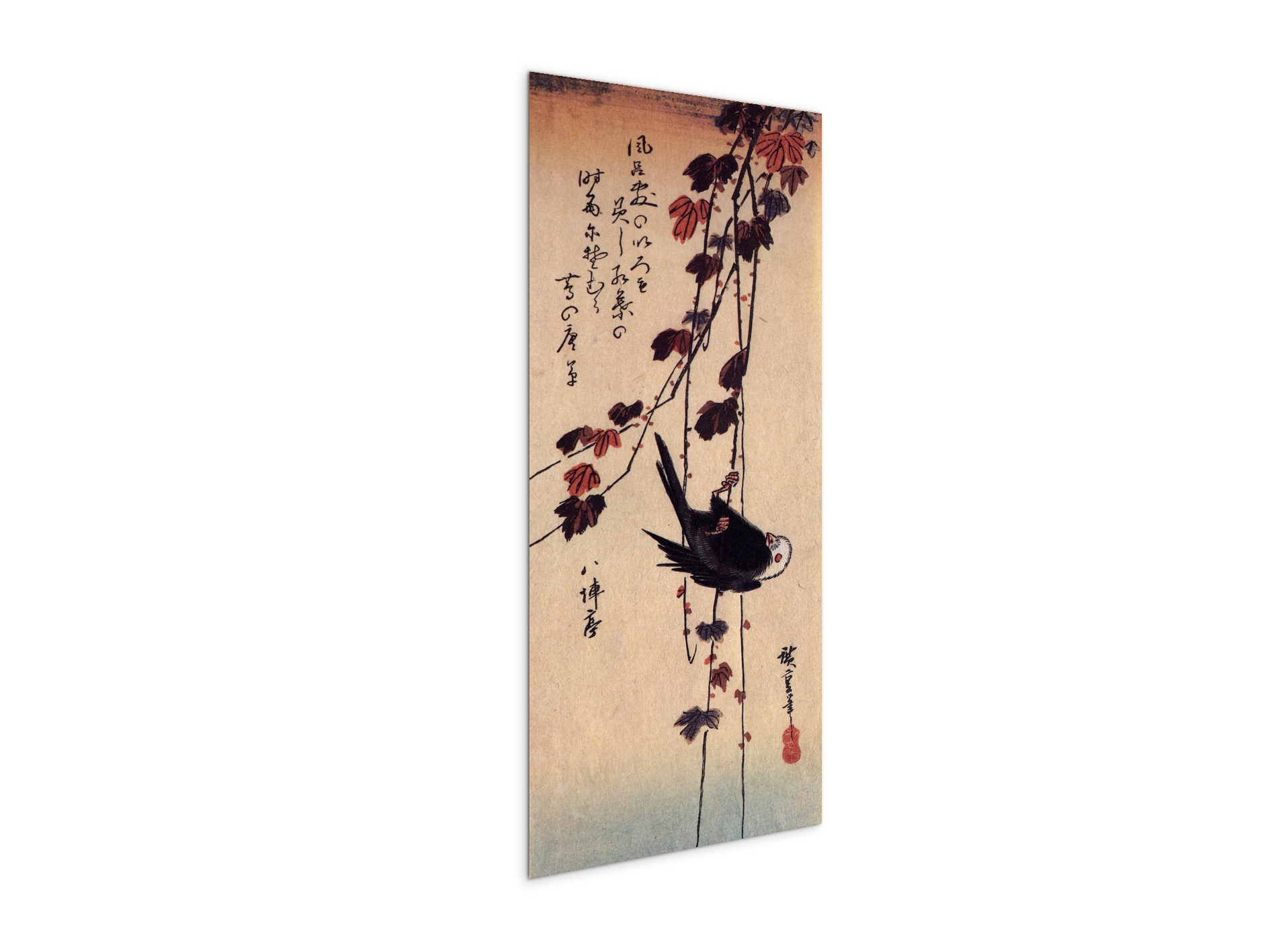a-small-black-bird-hanging-on-ivyas92853-