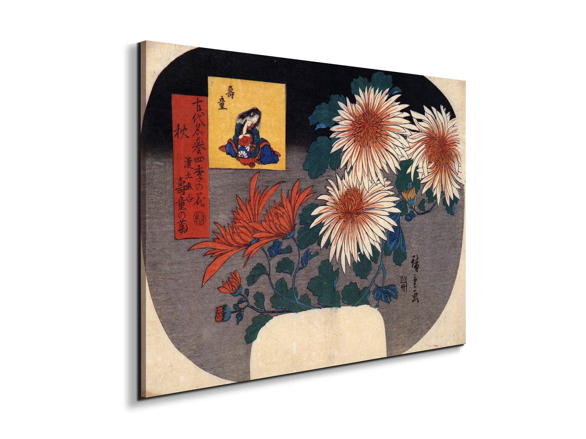 autumn-flowersas92857-