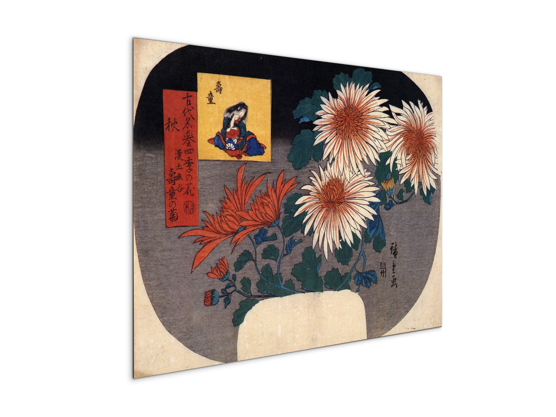 autumn-flowersas92857-