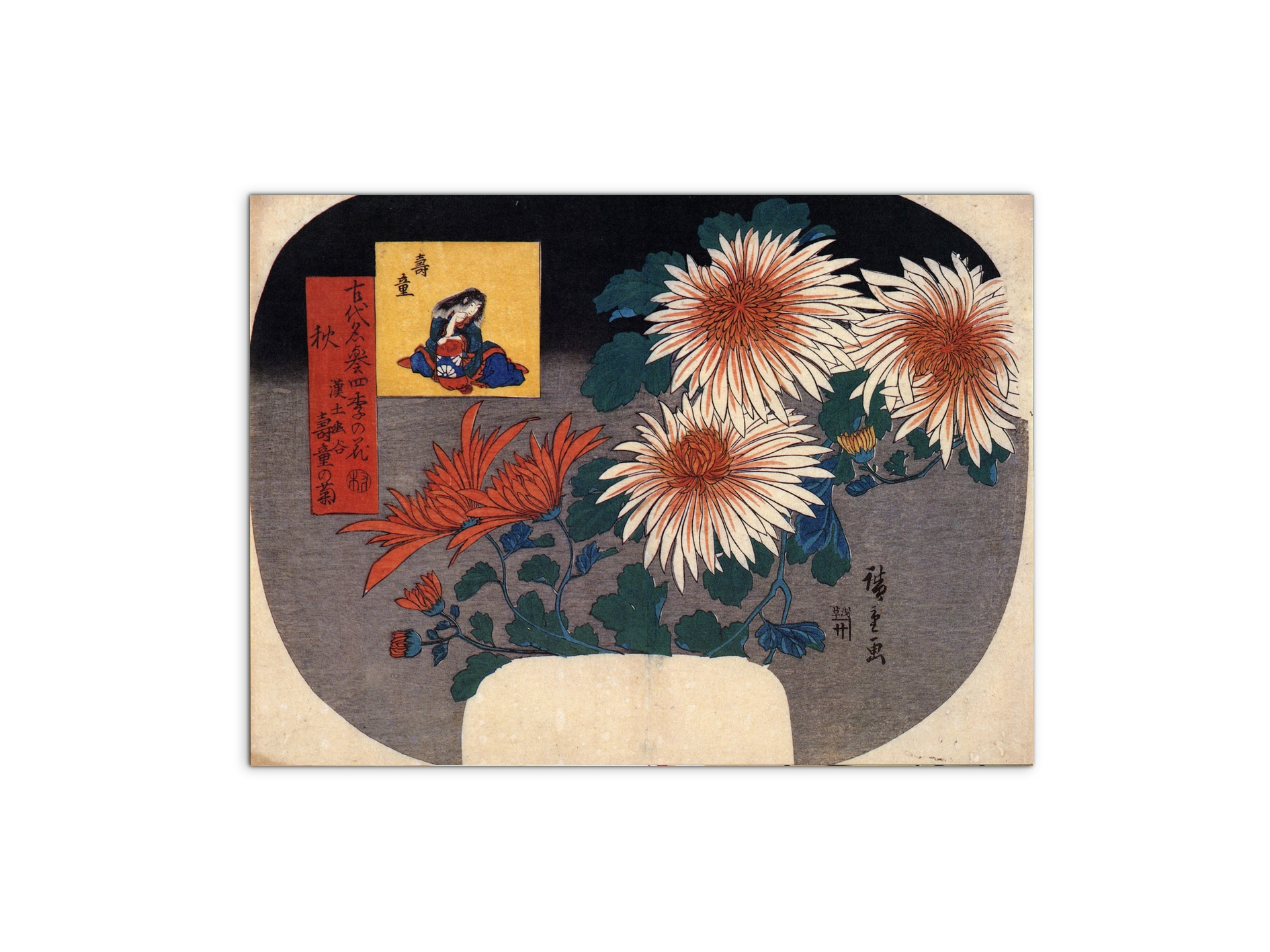 autumn-flowersas92857-