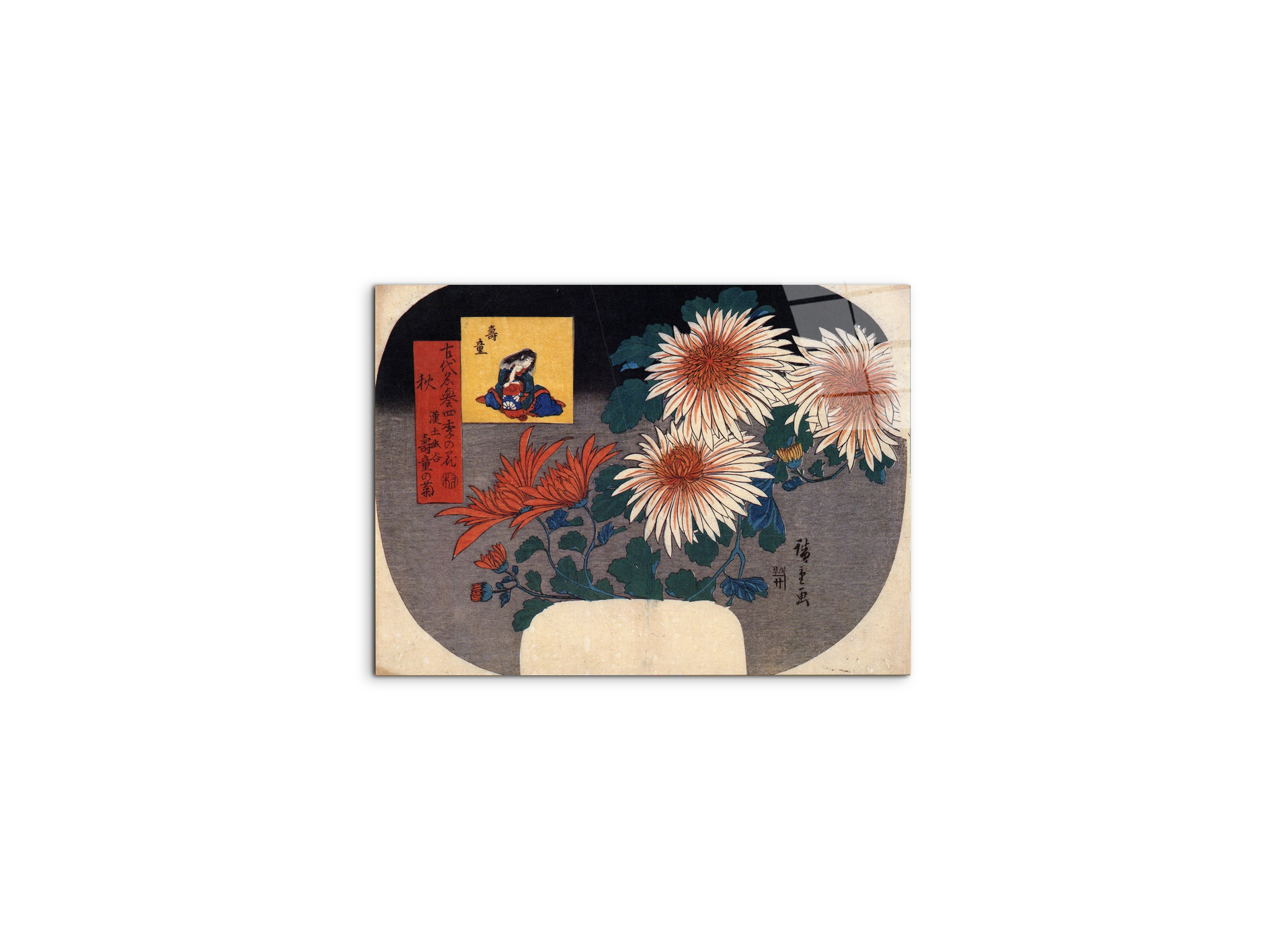 autumn-flowersas92857-