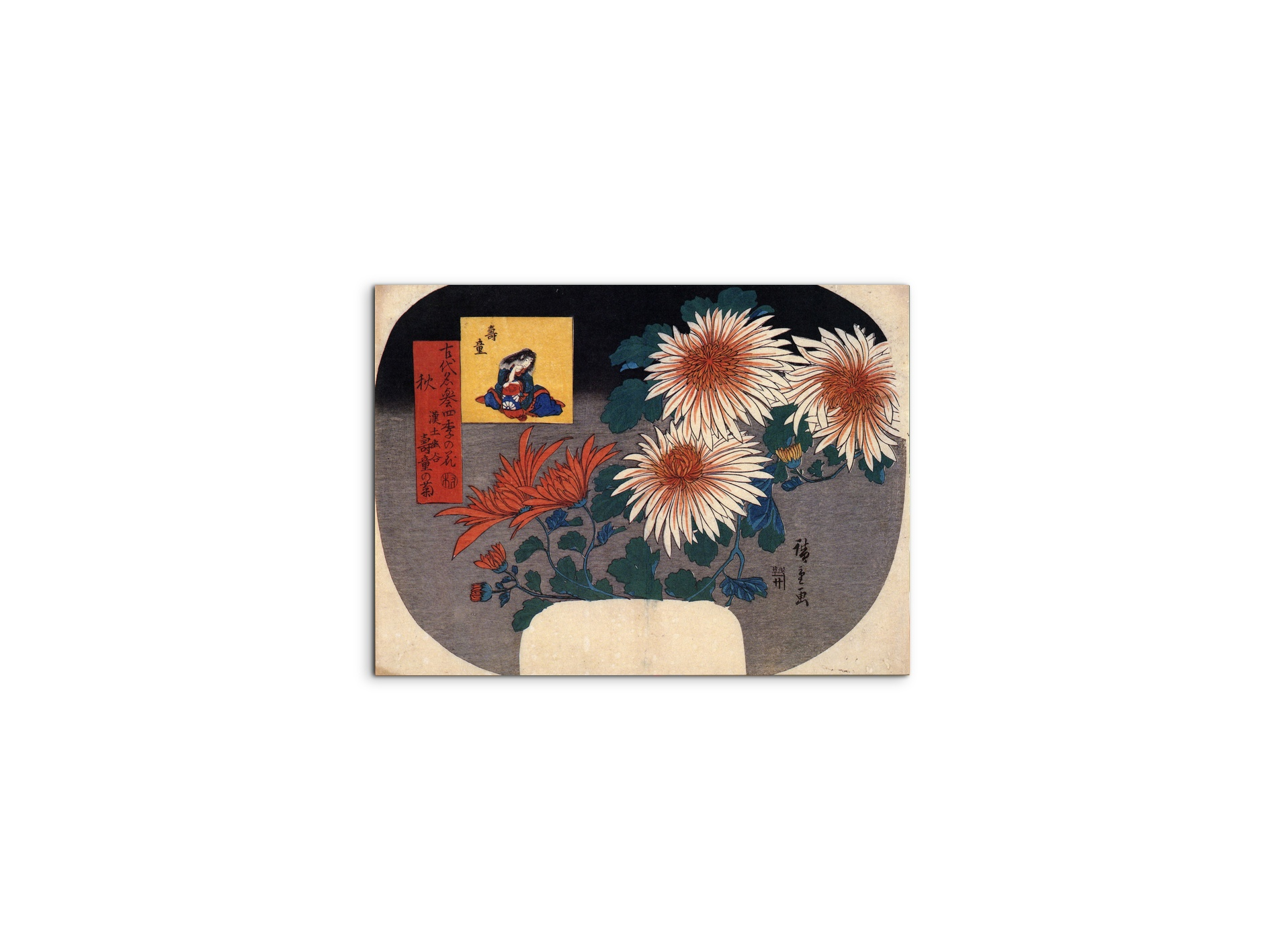 autumn-flowersas92857-