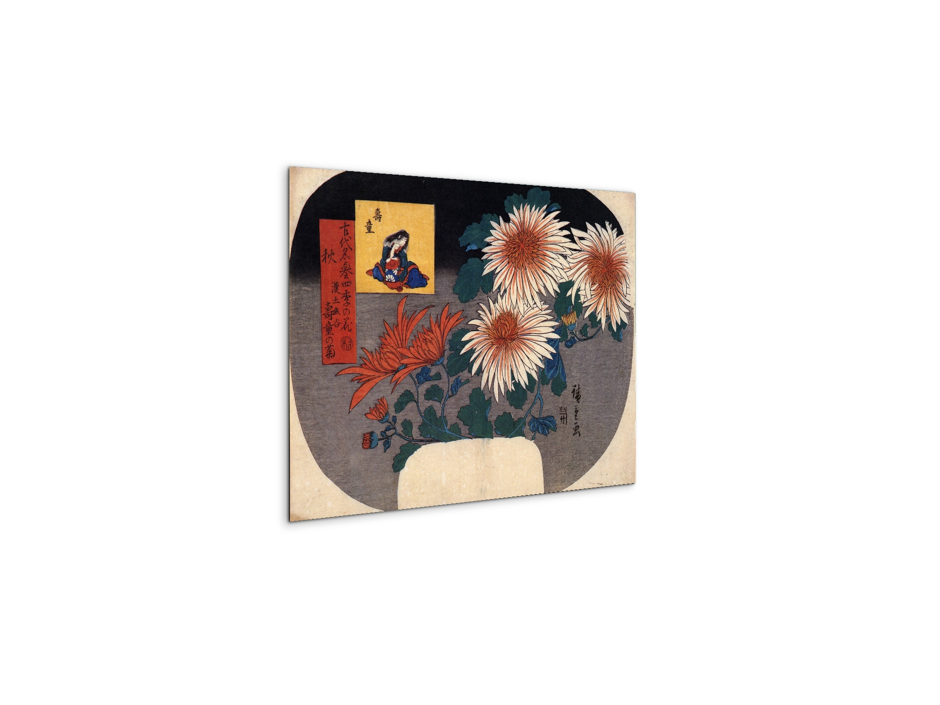 autumn-flowersas92857-