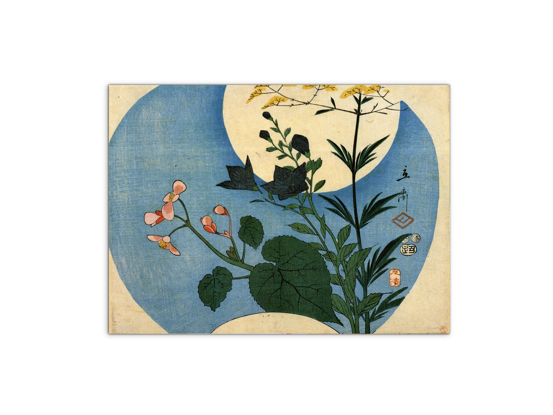 autumn-flowers-with-full-moonas92858-