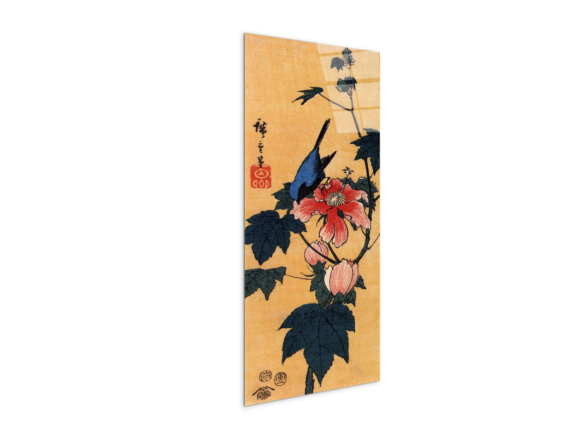 bird-on-a-hibiscus-floweras92861-