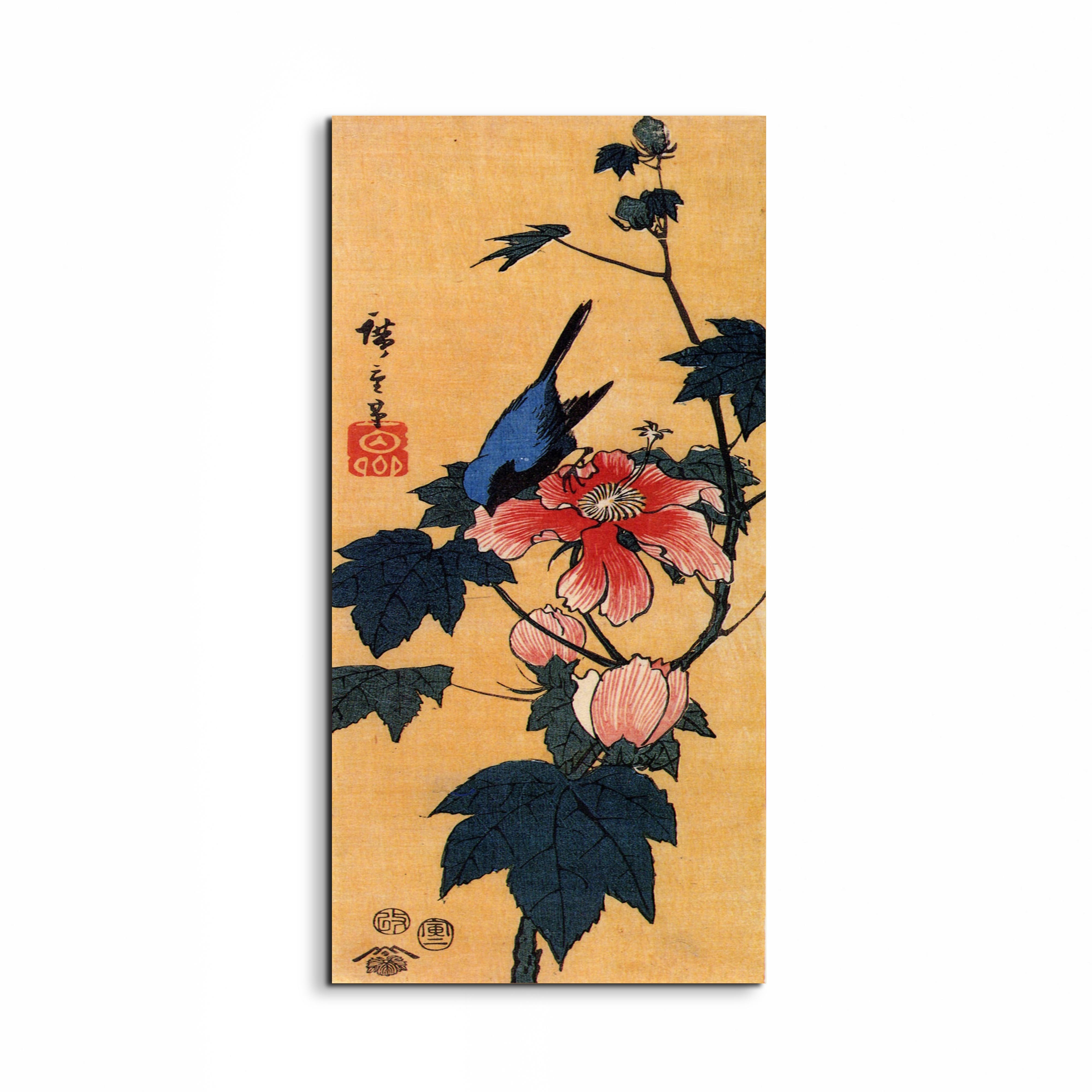 bird-on-a-hibiscus-floweras92861-