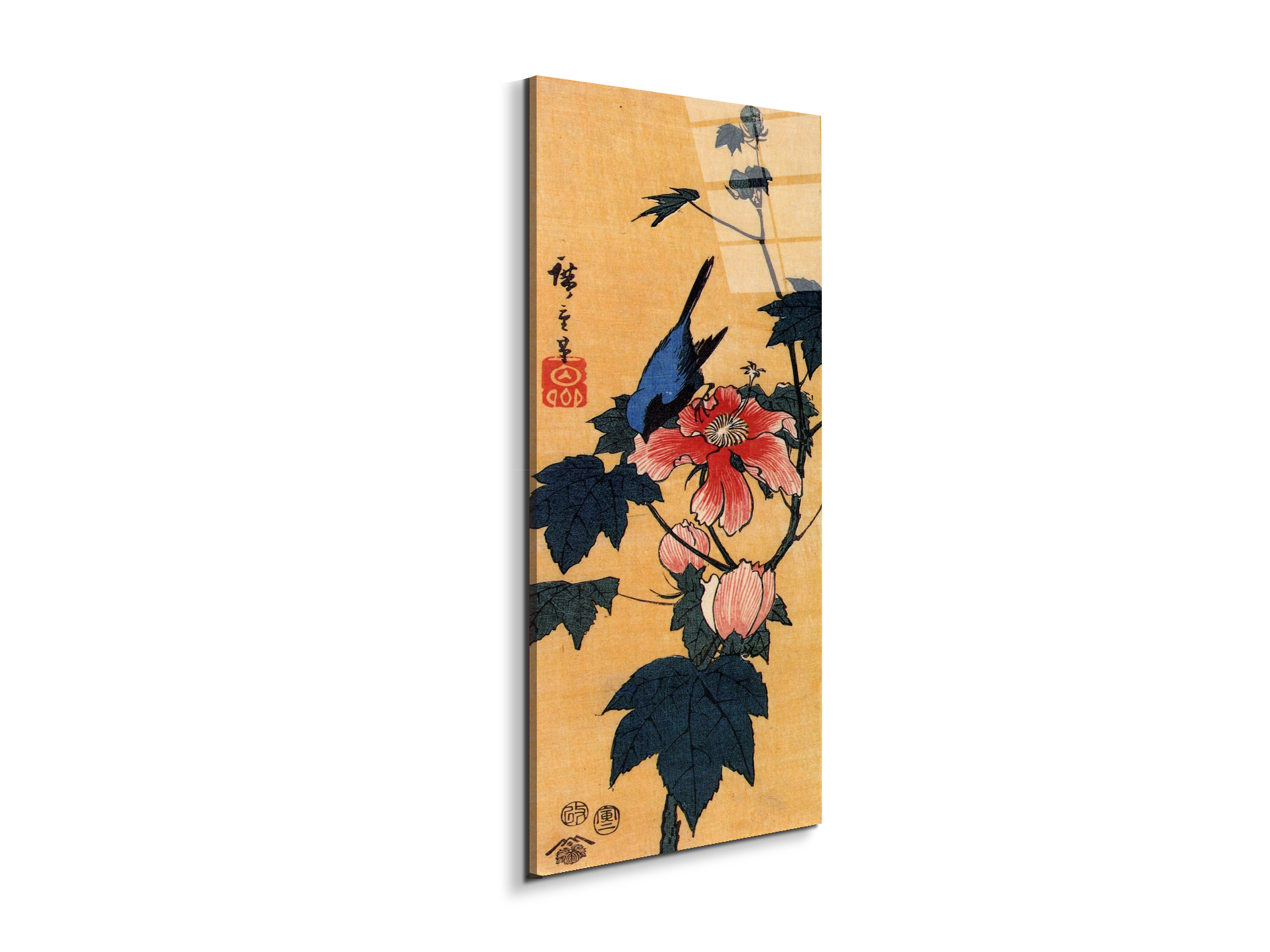 bird-on-a-hibiscus-floweras92861-
