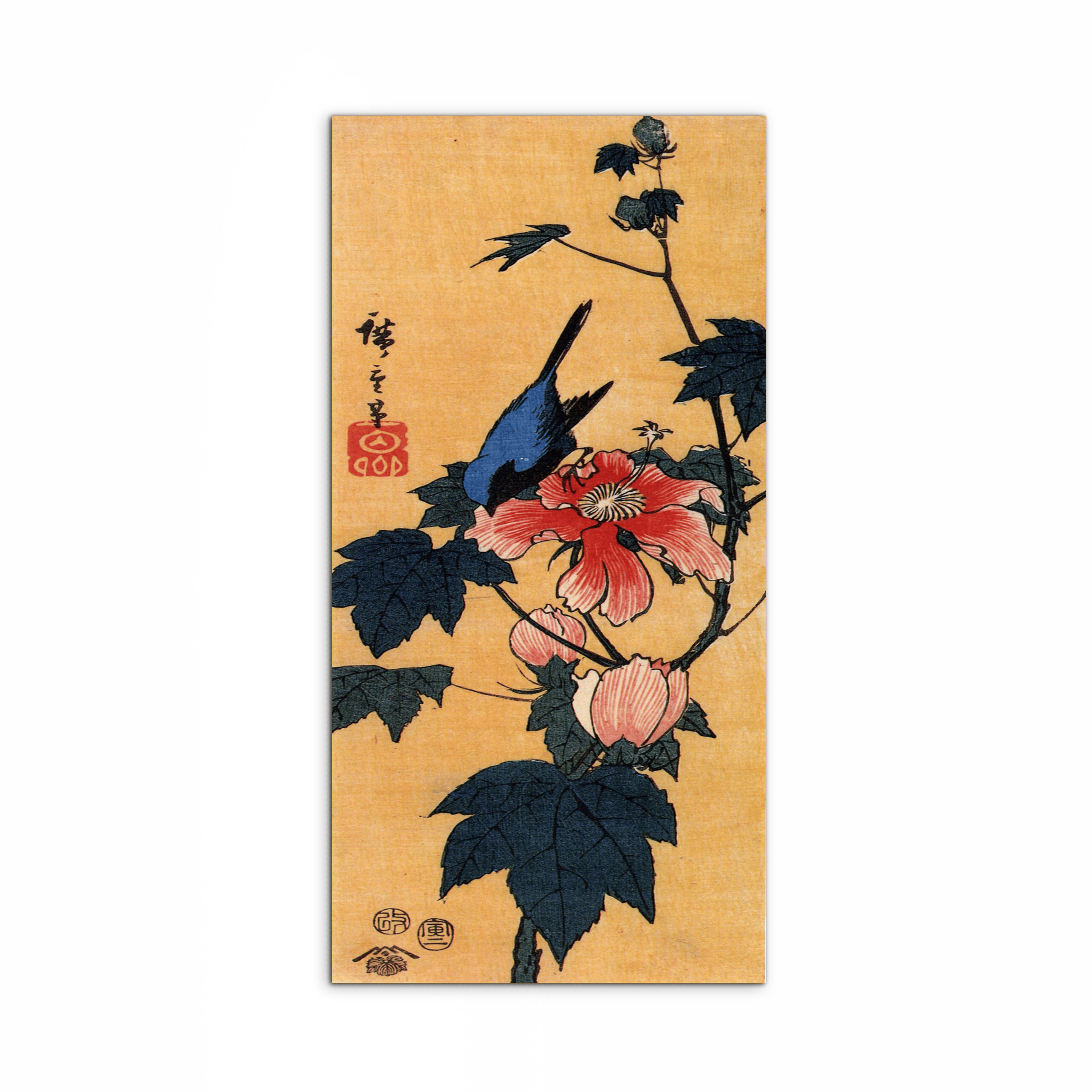 bird-on-a-hibiscus-floweras92861-
