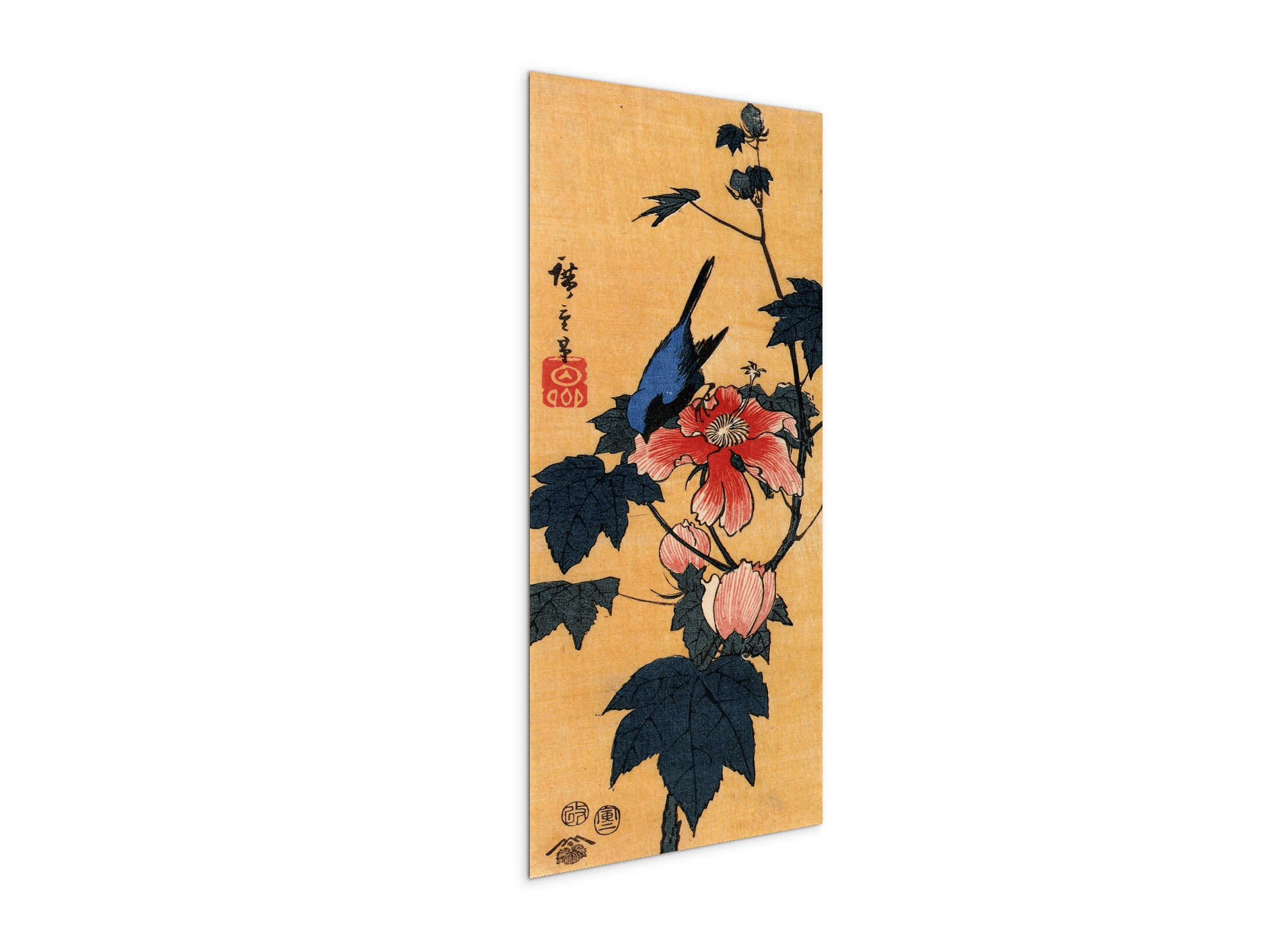 bird-on-a-hibiscus-floweras92861-