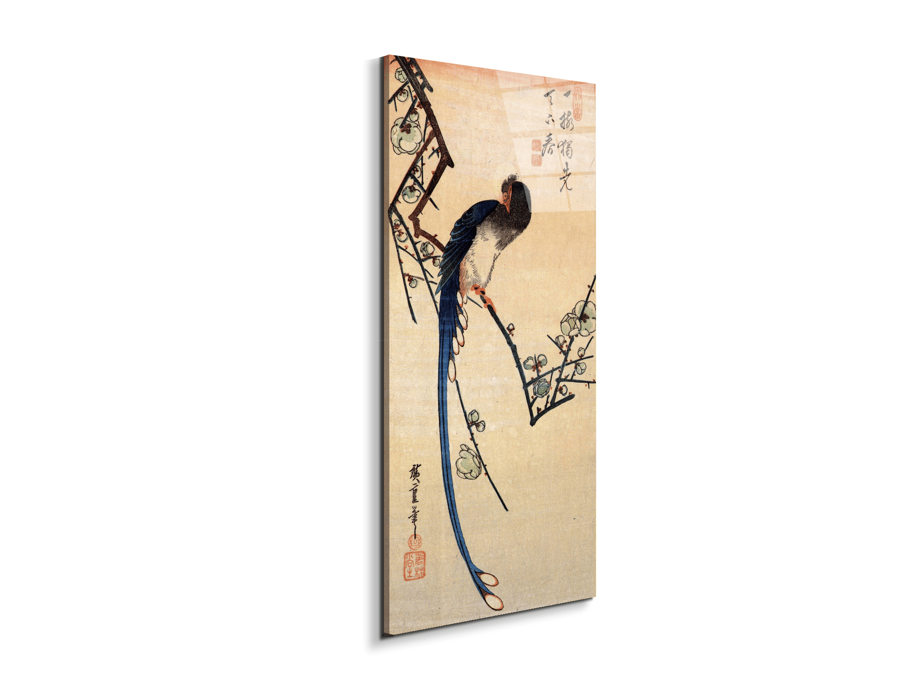 blue-bird-on-a-plumtreeas92867-