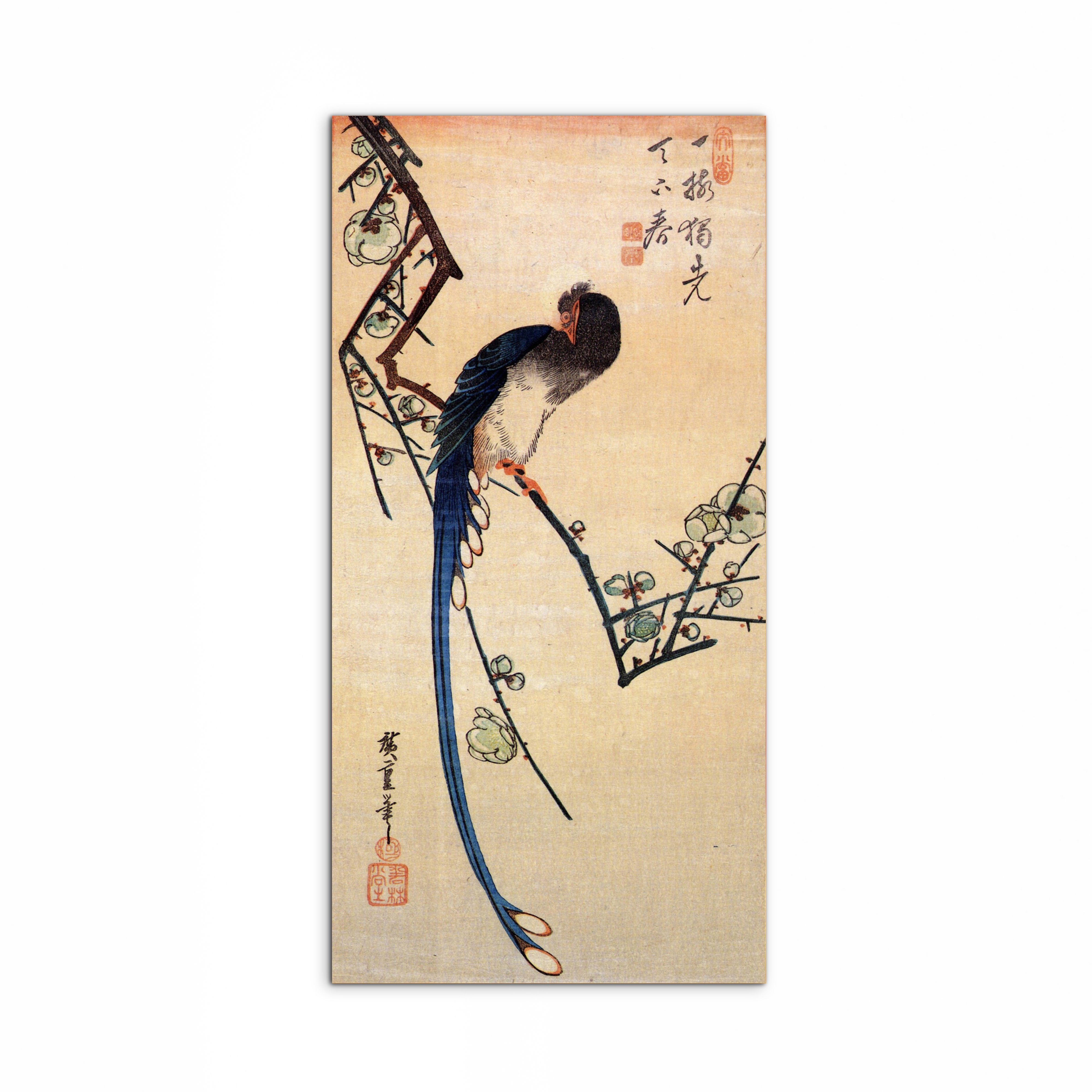 blue-bird-on-a-plumtreeas92867-