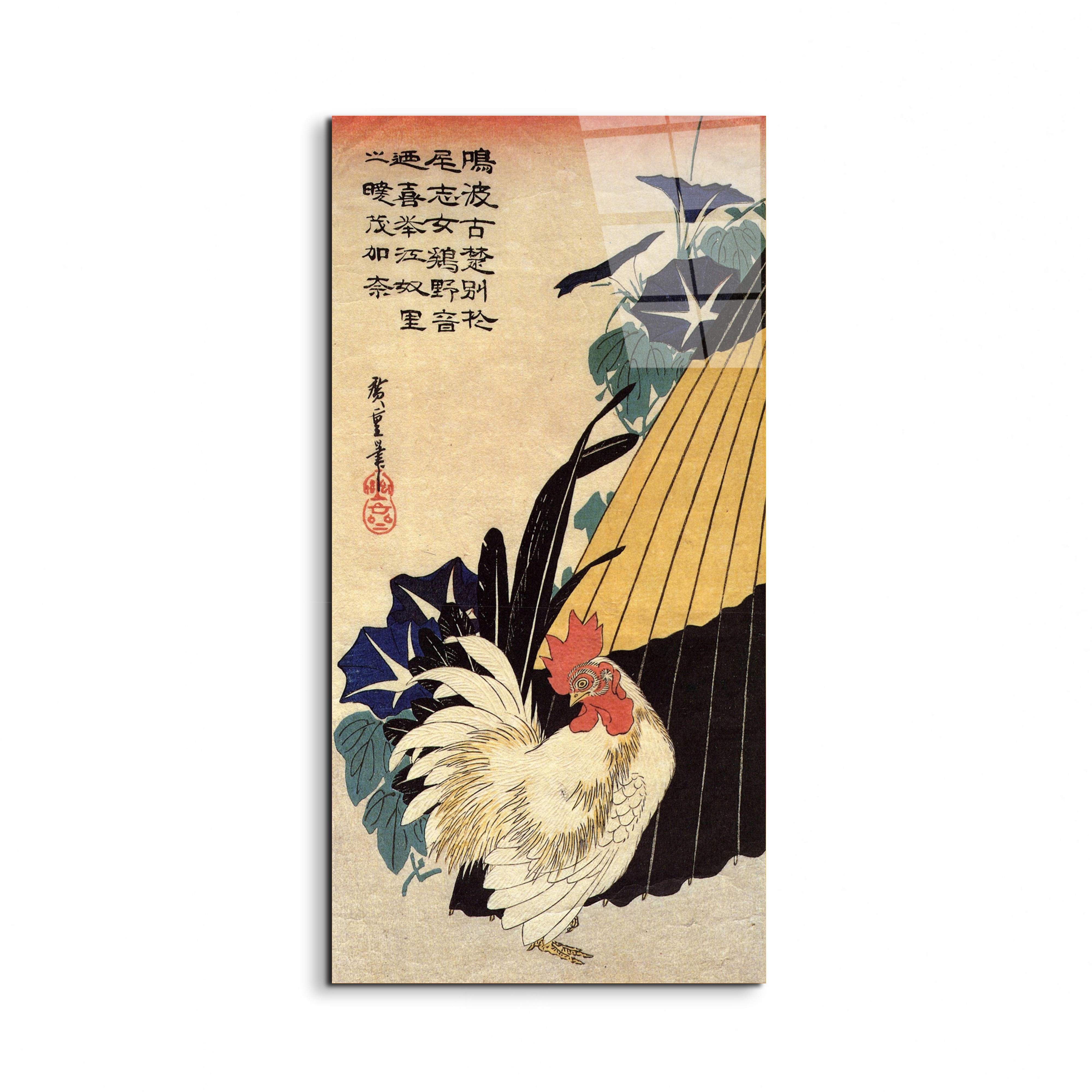 cock-umbrella-and-morning-gloryas92870-