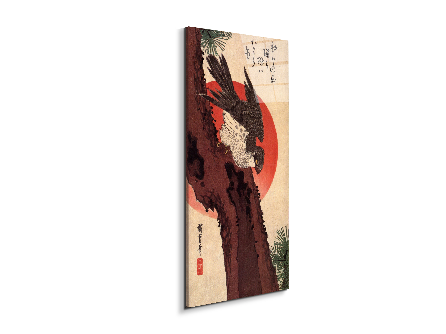 falcon-on-a-pine-with-rising-sunas92875-