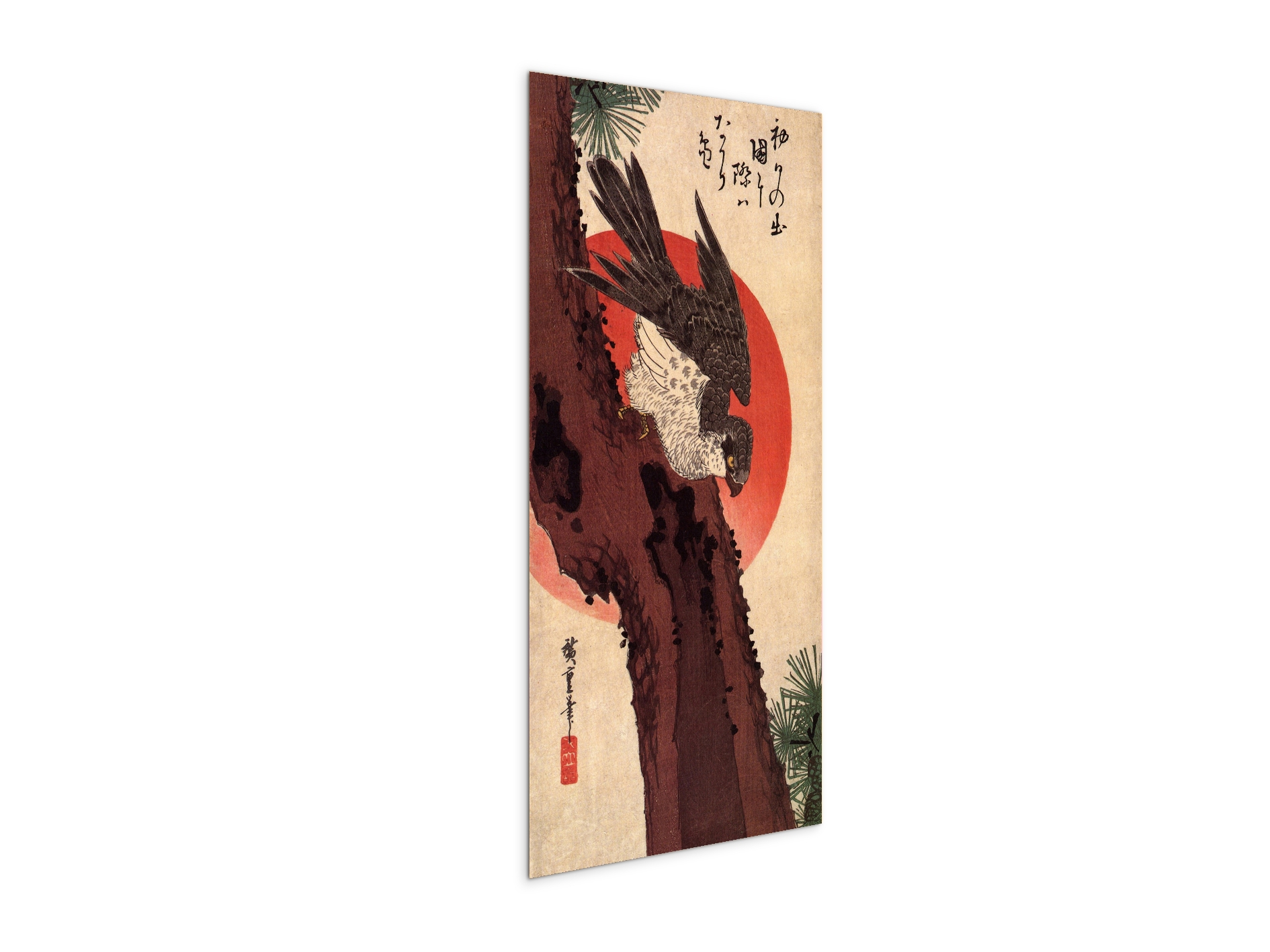 falcon-on-a-pine-with-rising-sunas92875-