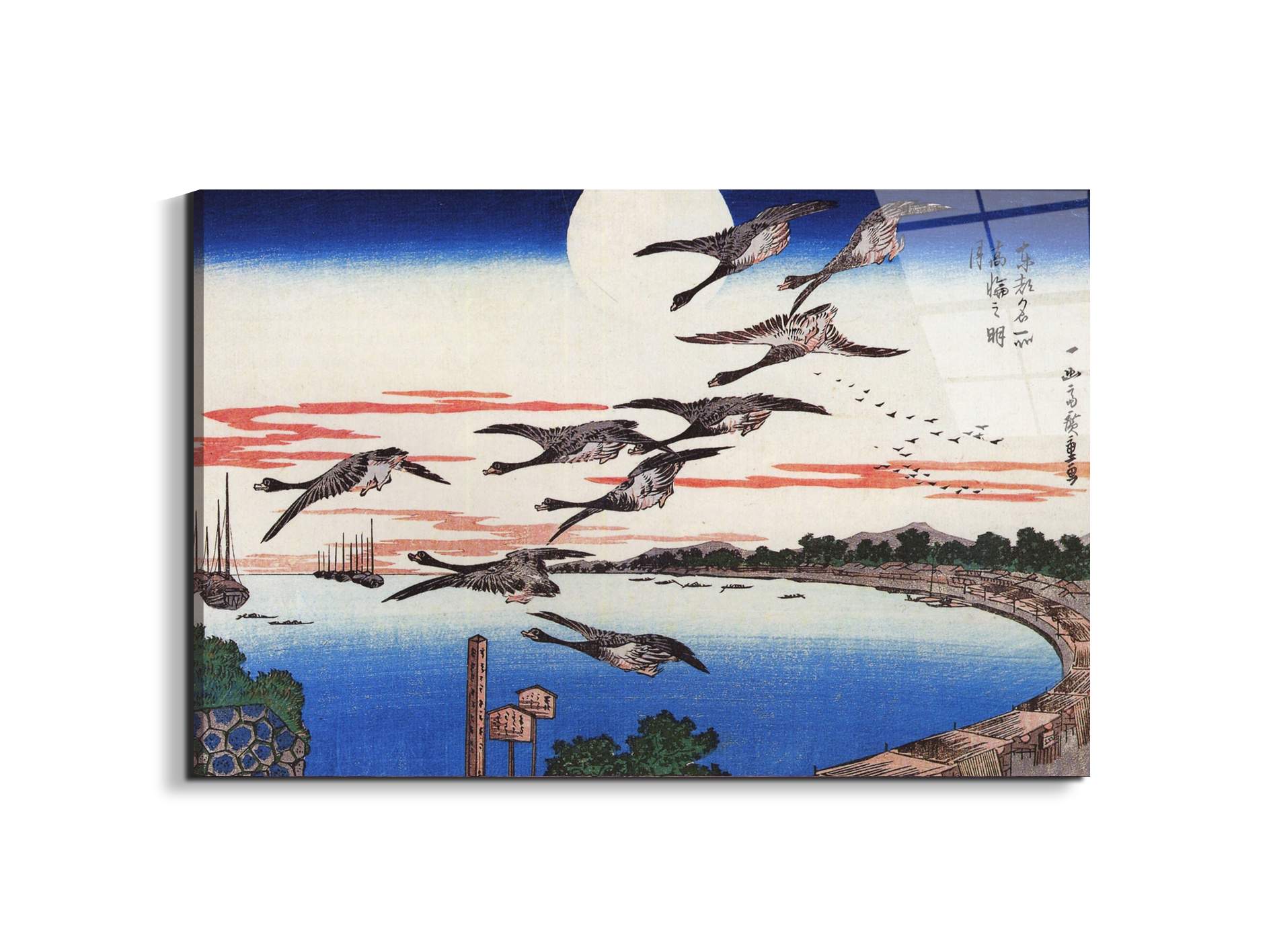 geese-descending-over-a-bayas92880-