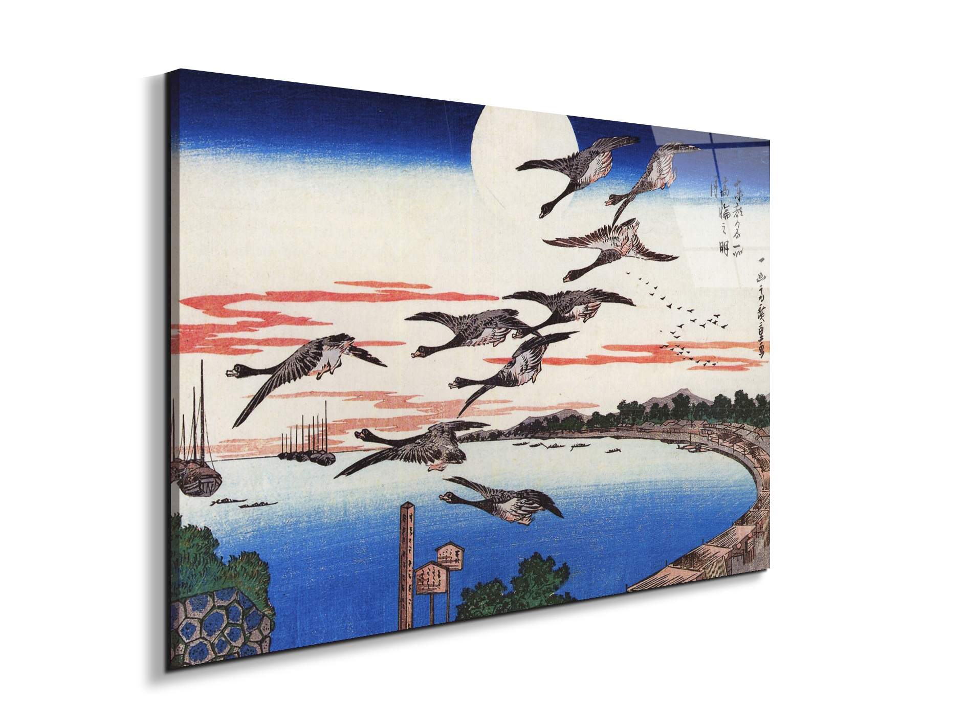 geese-descending-over-a-bayas92880-