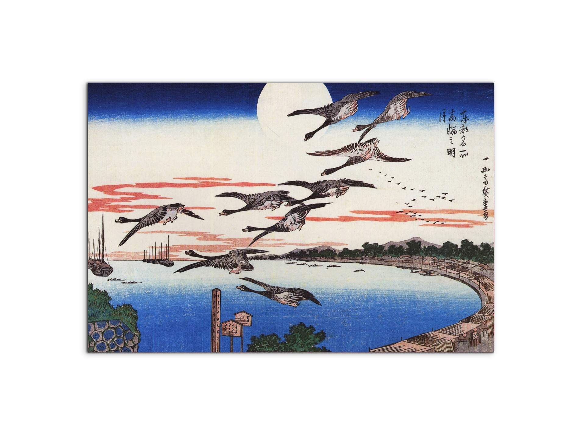 geese-descending-over-a-bayas92880-
