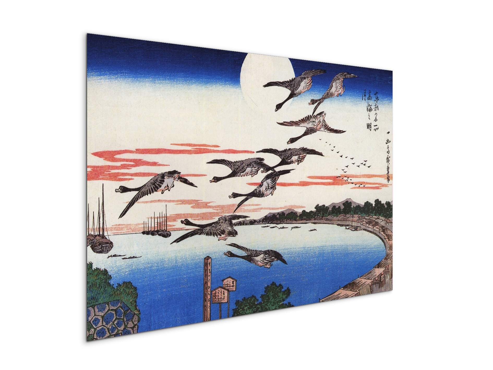 geese-descending-over-a-bayas92880-