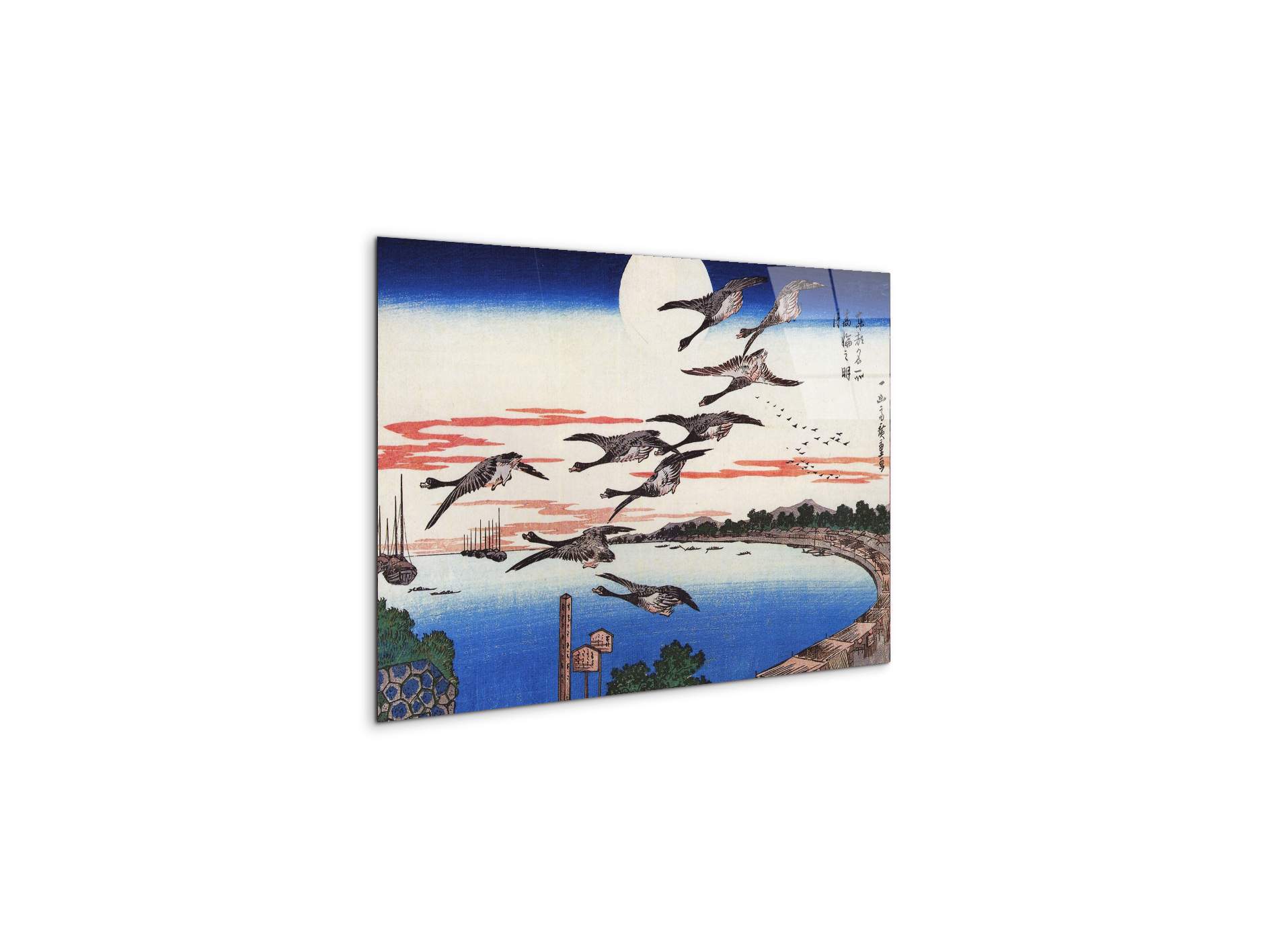 geese-descending-over-a-bayas92880-