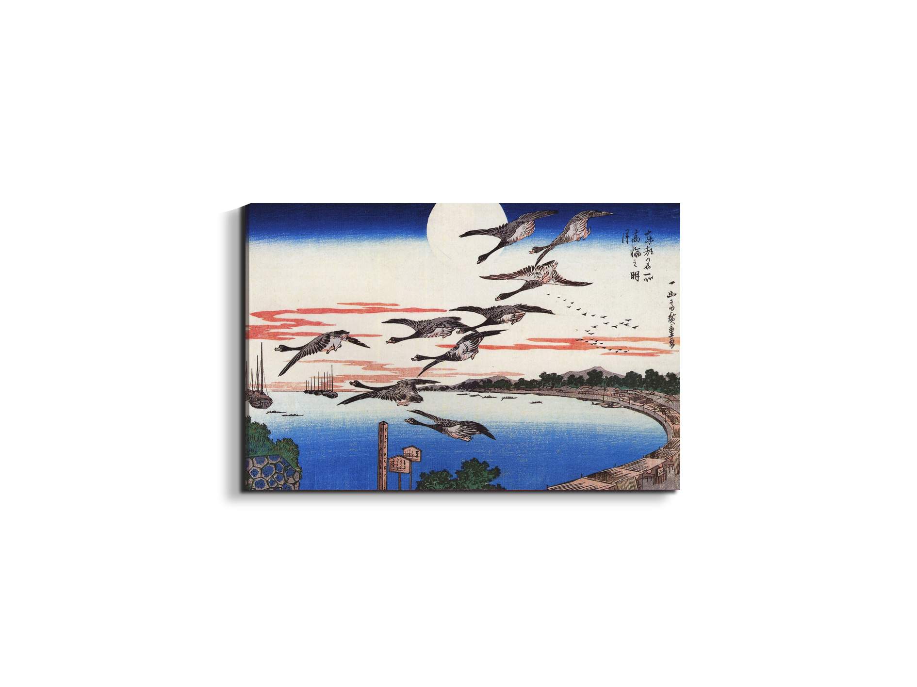 geese-descending-over-a-bayas92880-