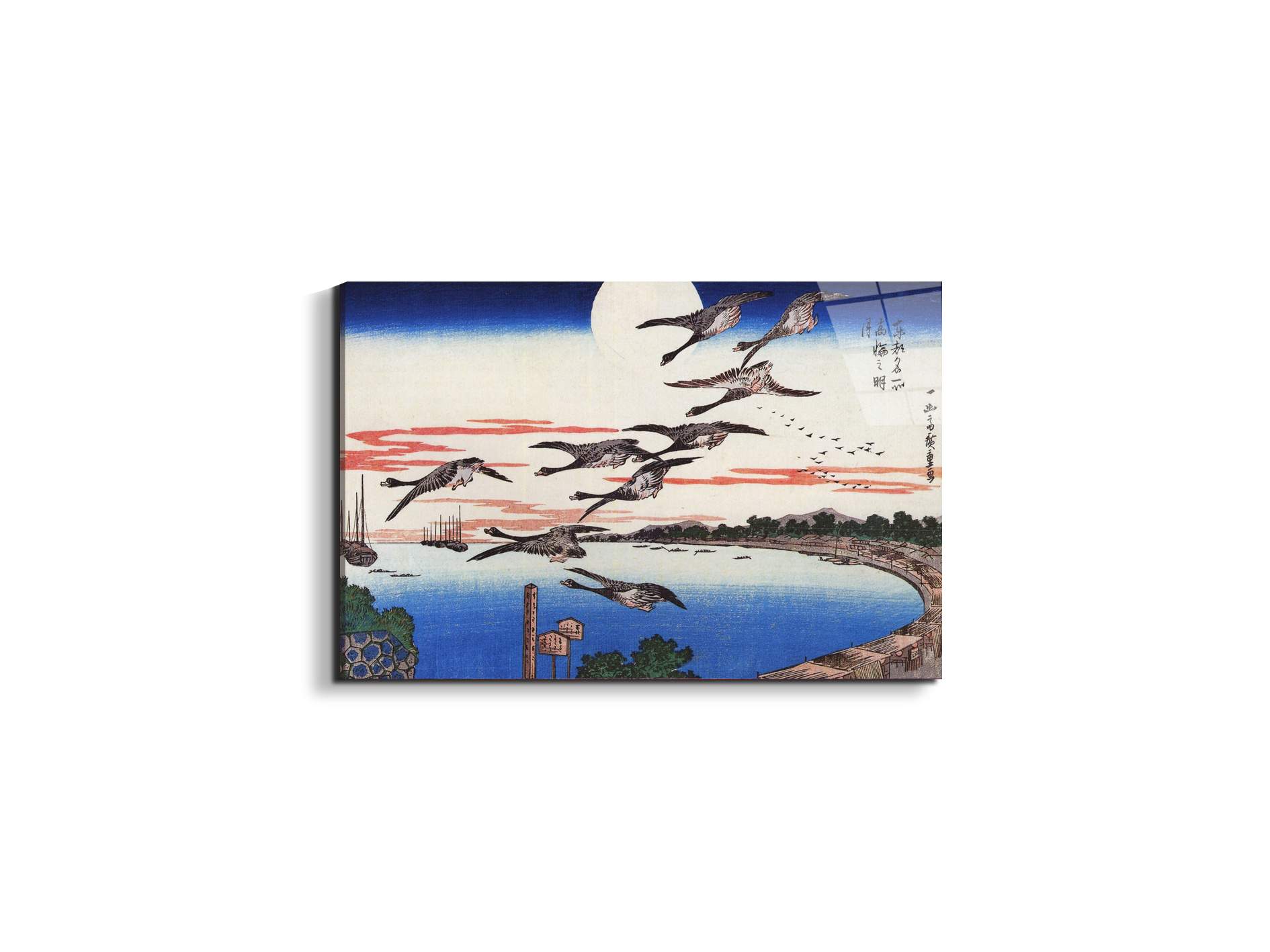 geese-descending-over-a-bayas92880-