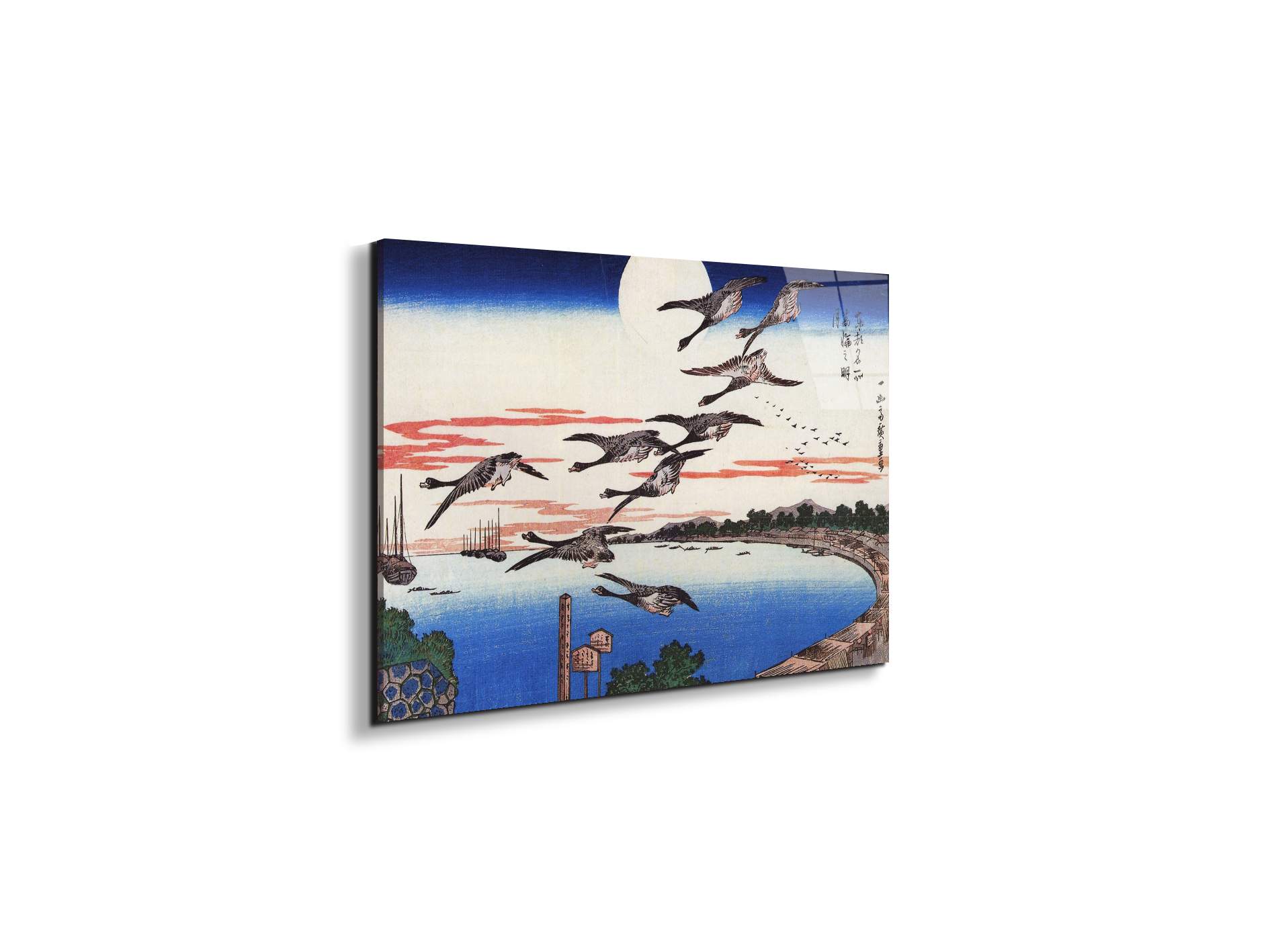 geese-descending-over-a-bayas92880-