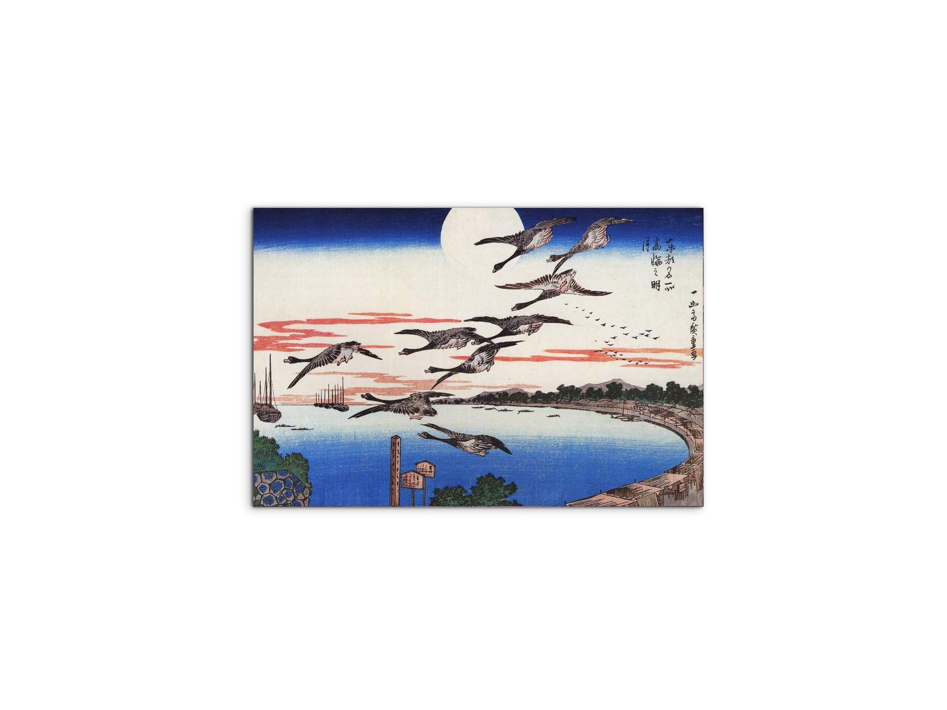 geese-descending-over-a-bayas92880-