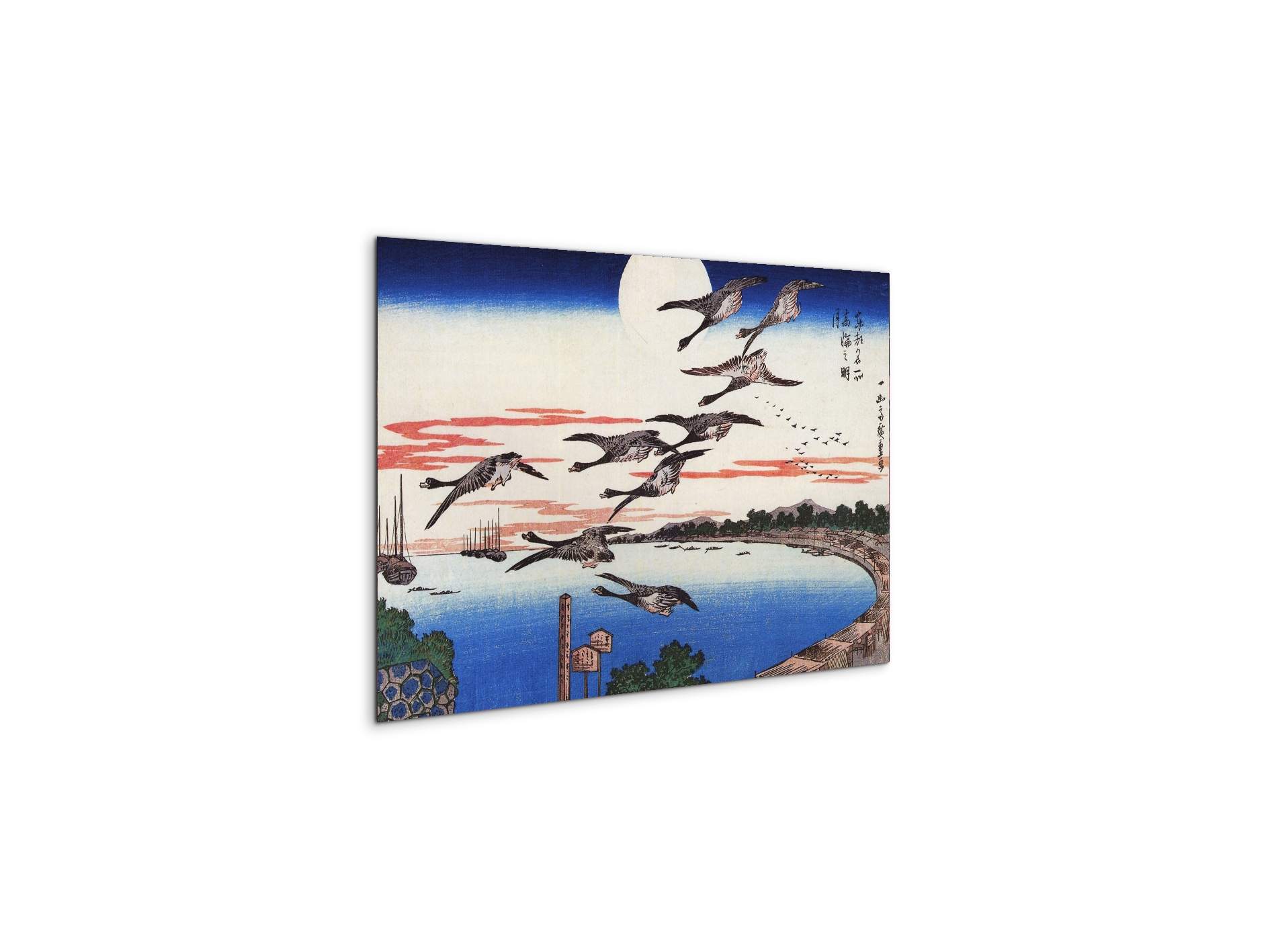 geese-descending-over-a-bayas92880-