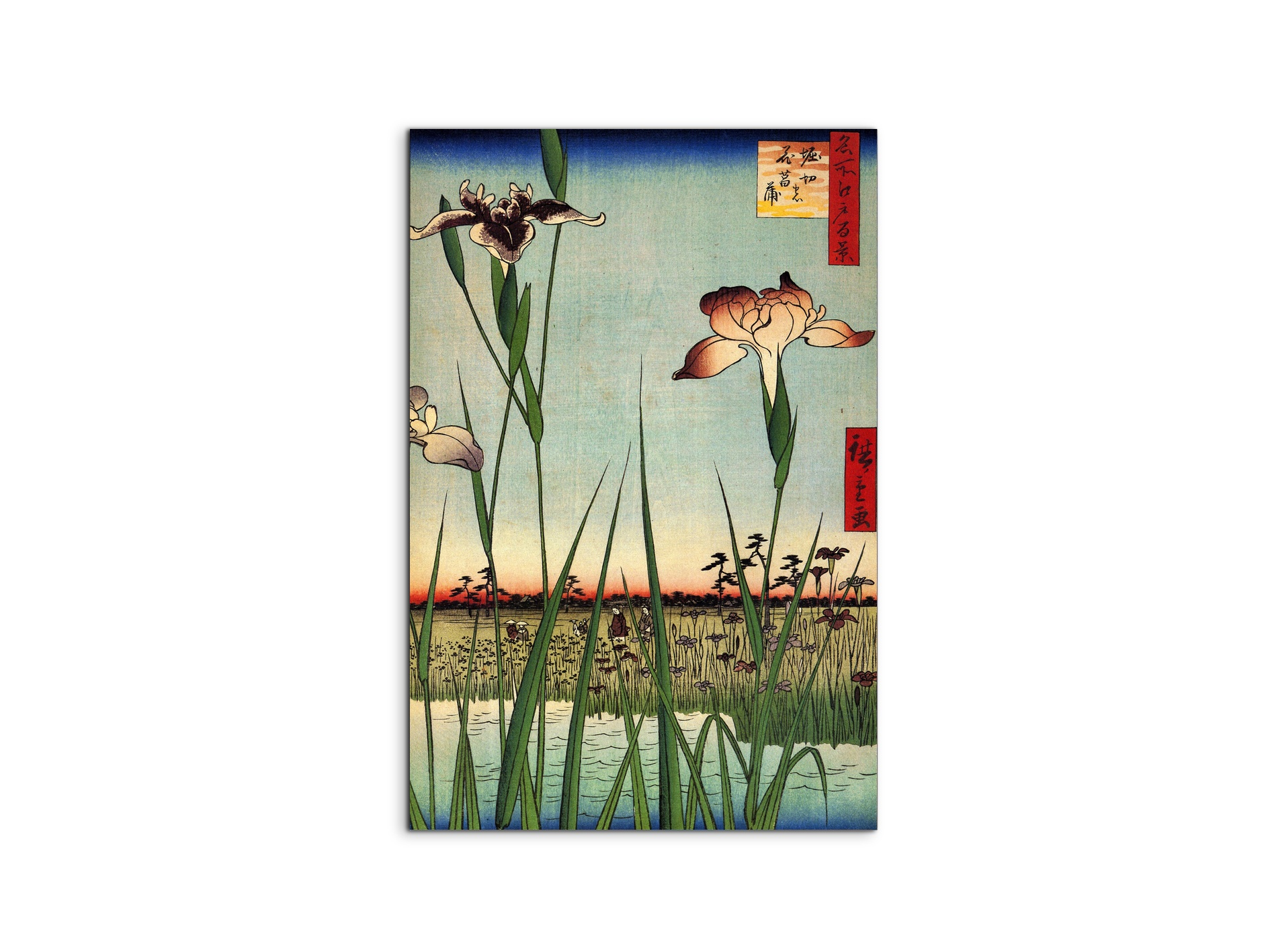 #materiale_MetalArt Gloss/dimensioni_53x79,5