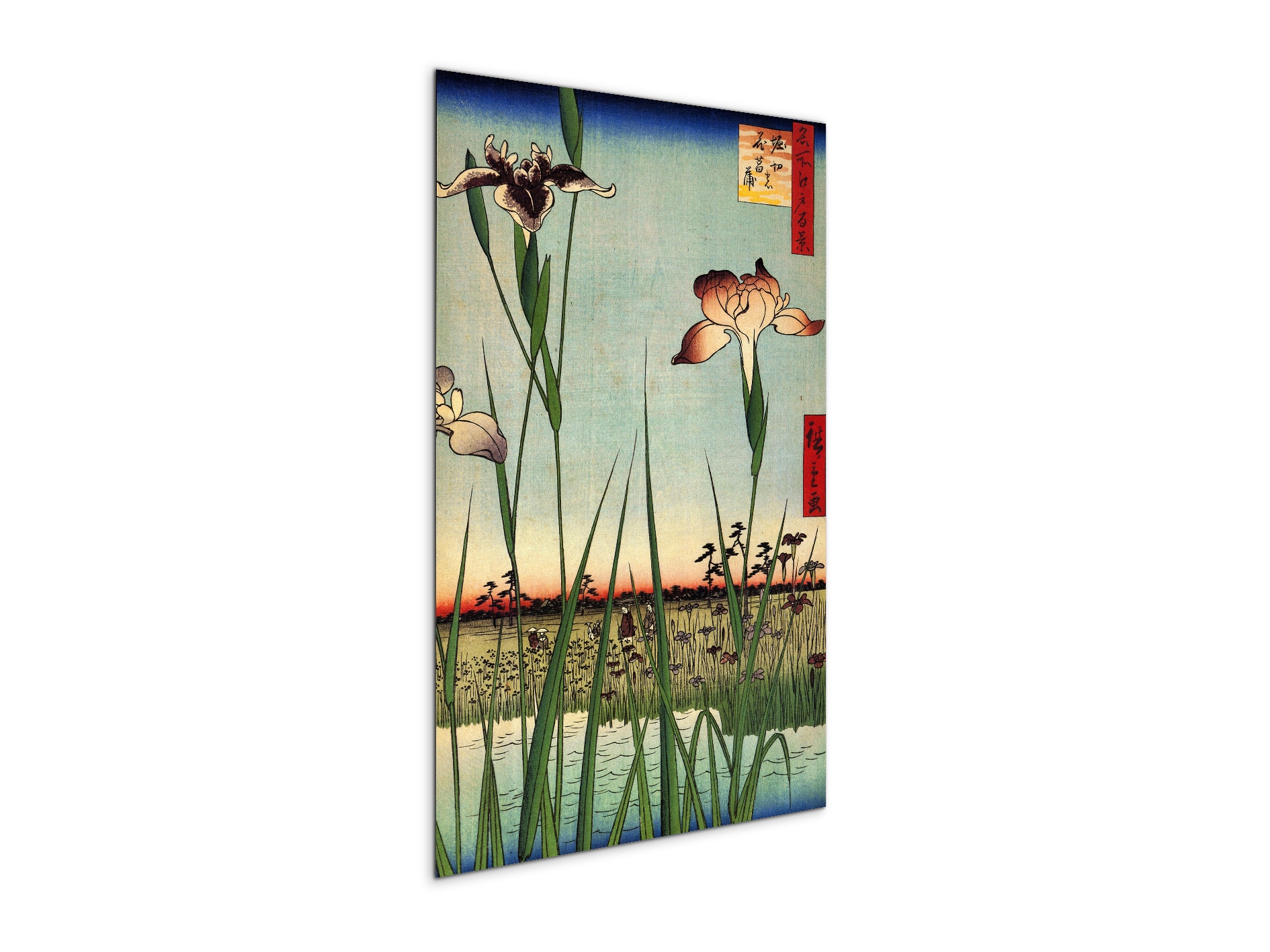 #materiale_MetalArt Gloss/dimensioni_53x79,5