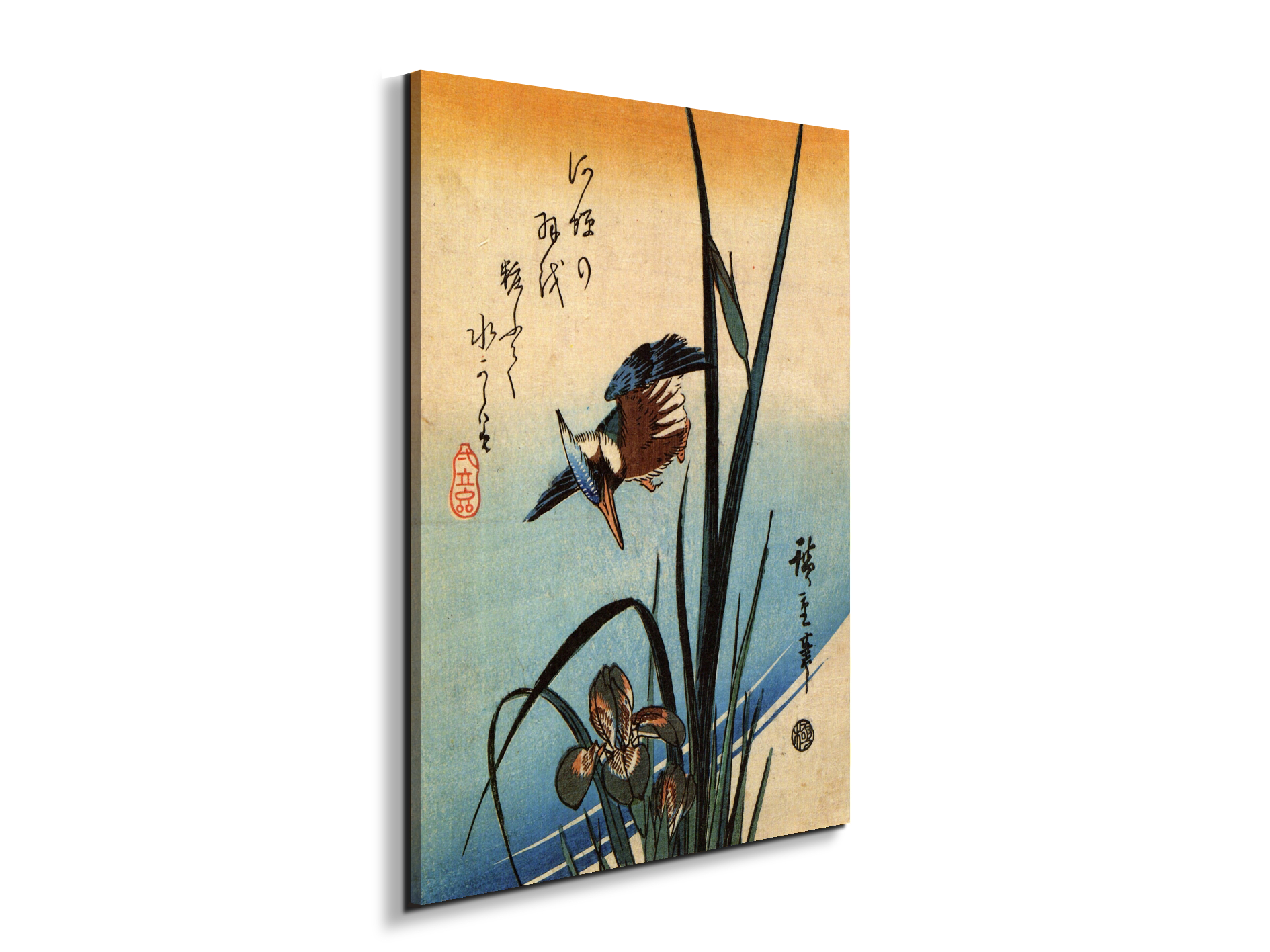 kingfisher-and-lilies-iias92989-
