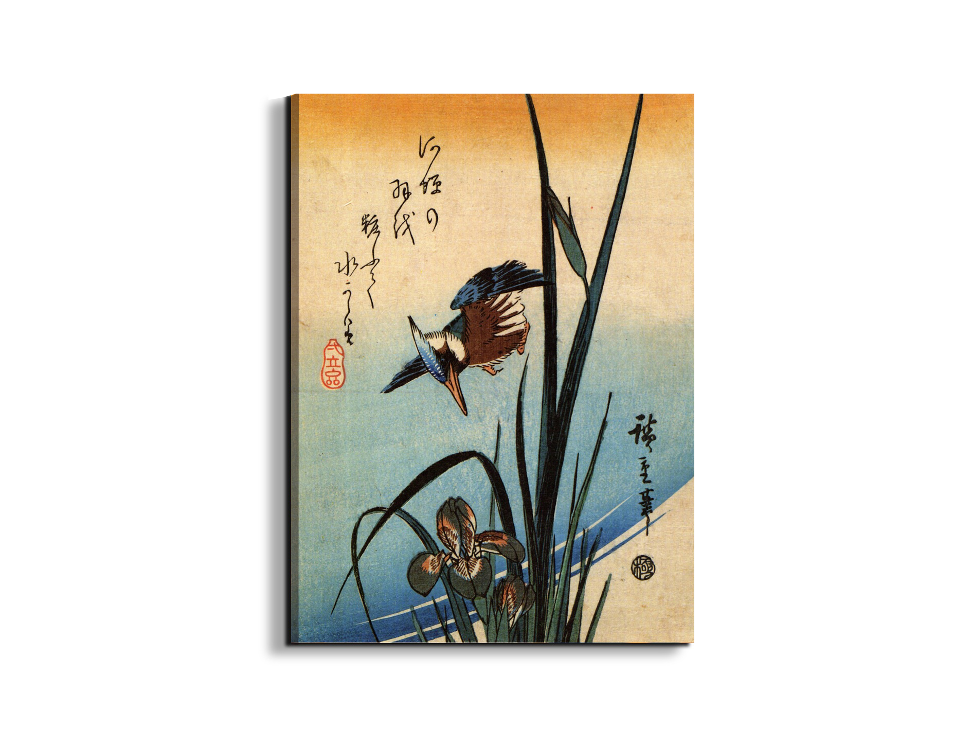 kingfisher-and-lilies-iias92989-
