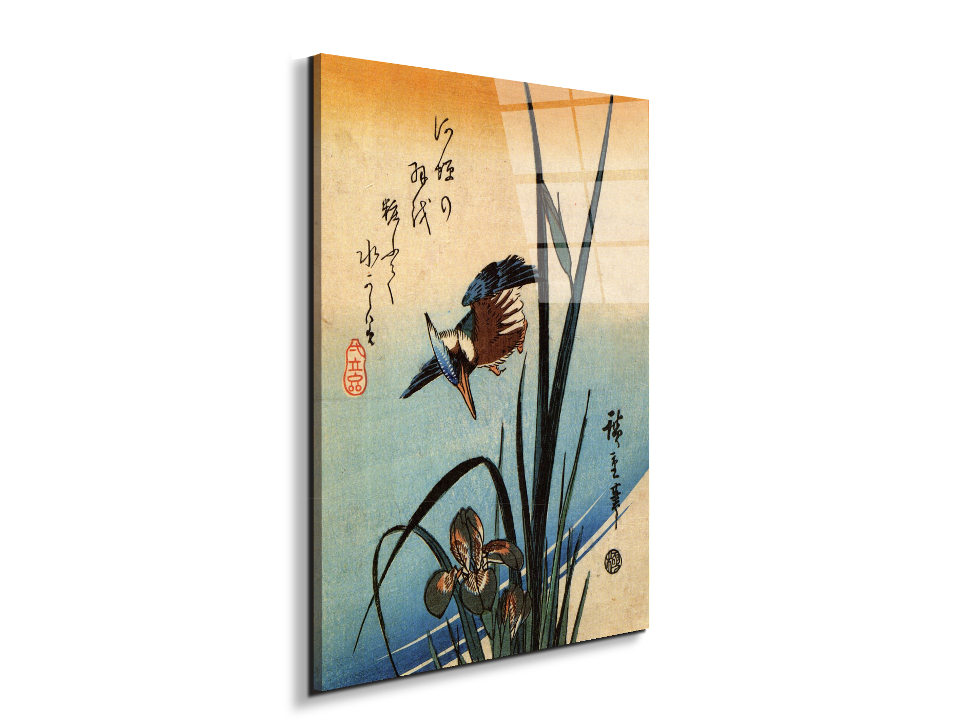 kingfisher-and-lilies-iias92989-