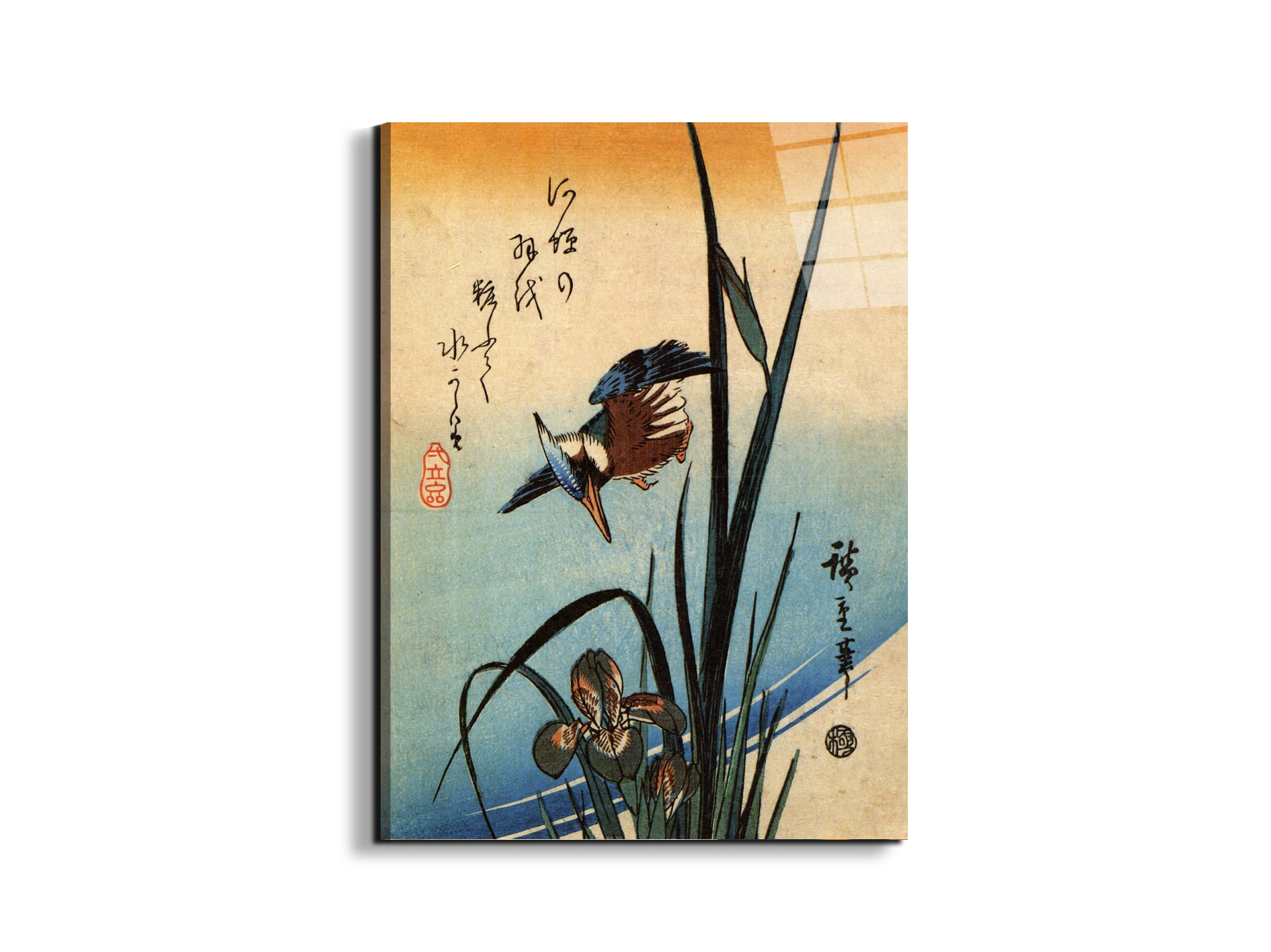 kingfisher-and-lilies-iias92989-