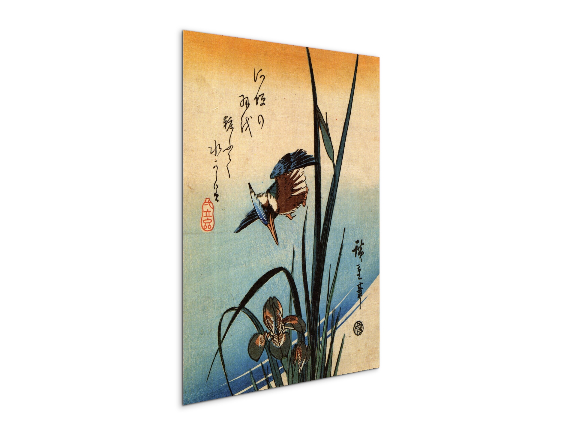 kingfisher-and-lilies-iias92989-