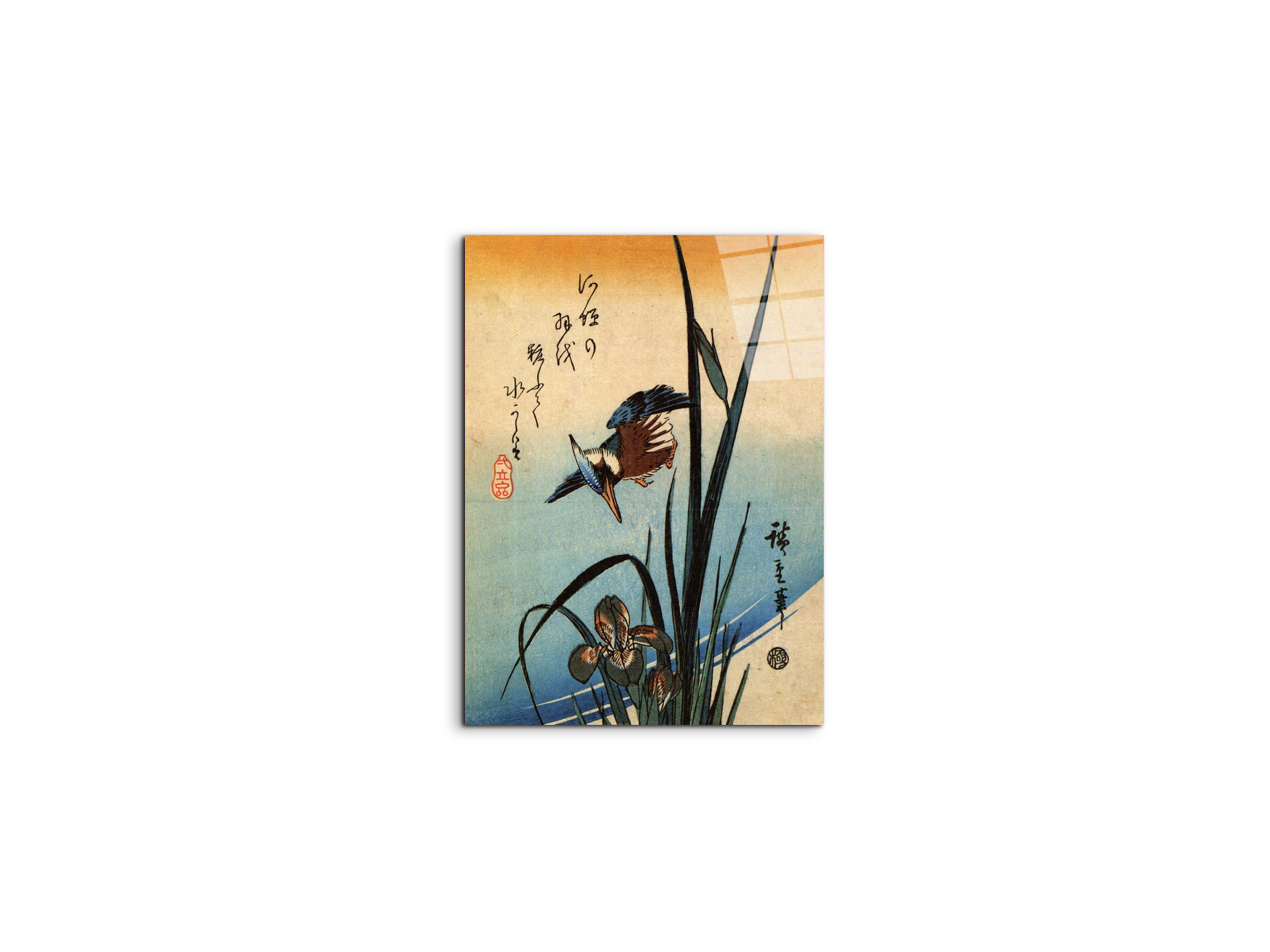 kingfisher-and-lilies-iias92989-
