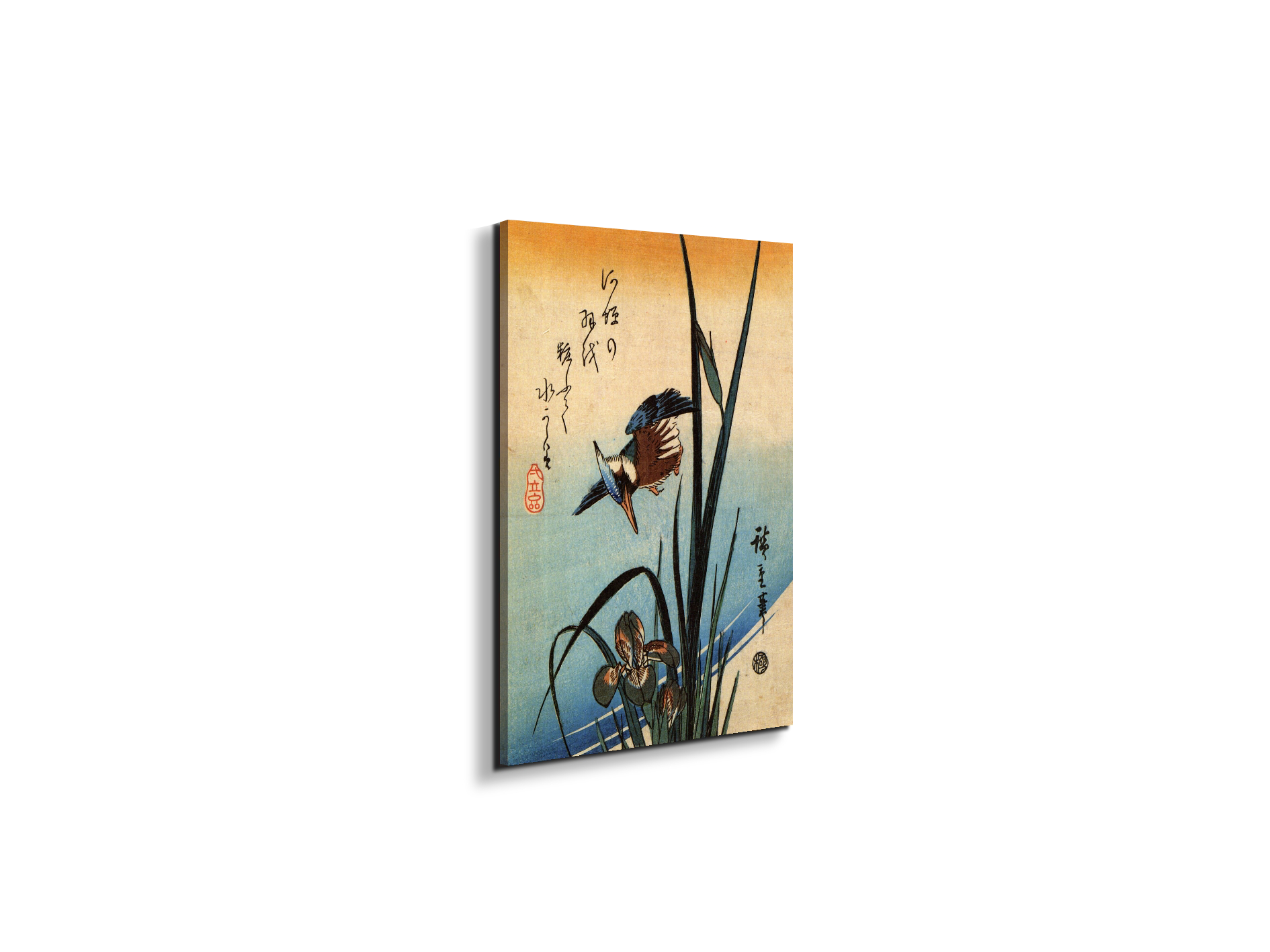 kingfisher-and-lilies-iias92989-
